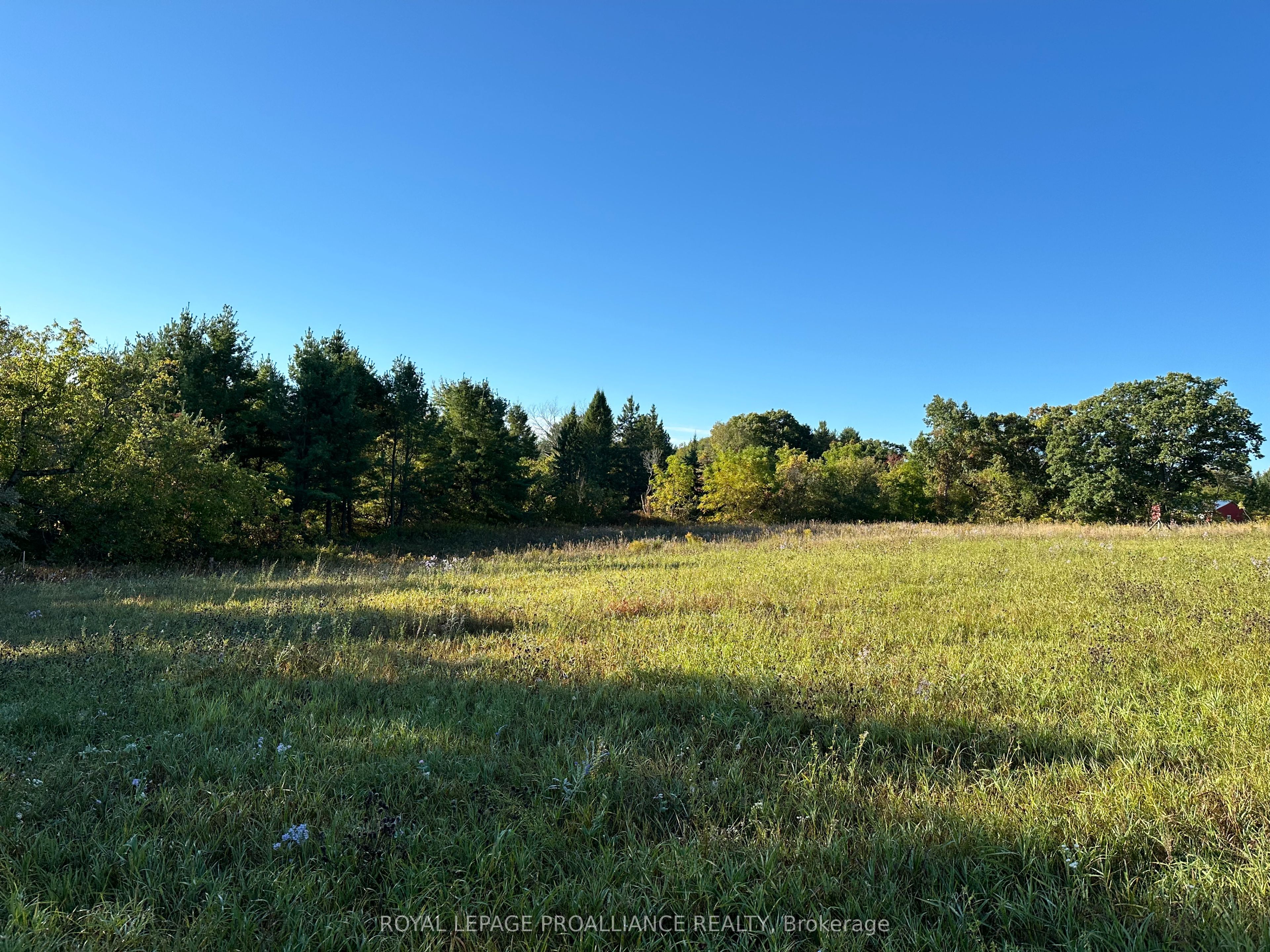 Pt Lt 24 County Road 9 Property Photo 3