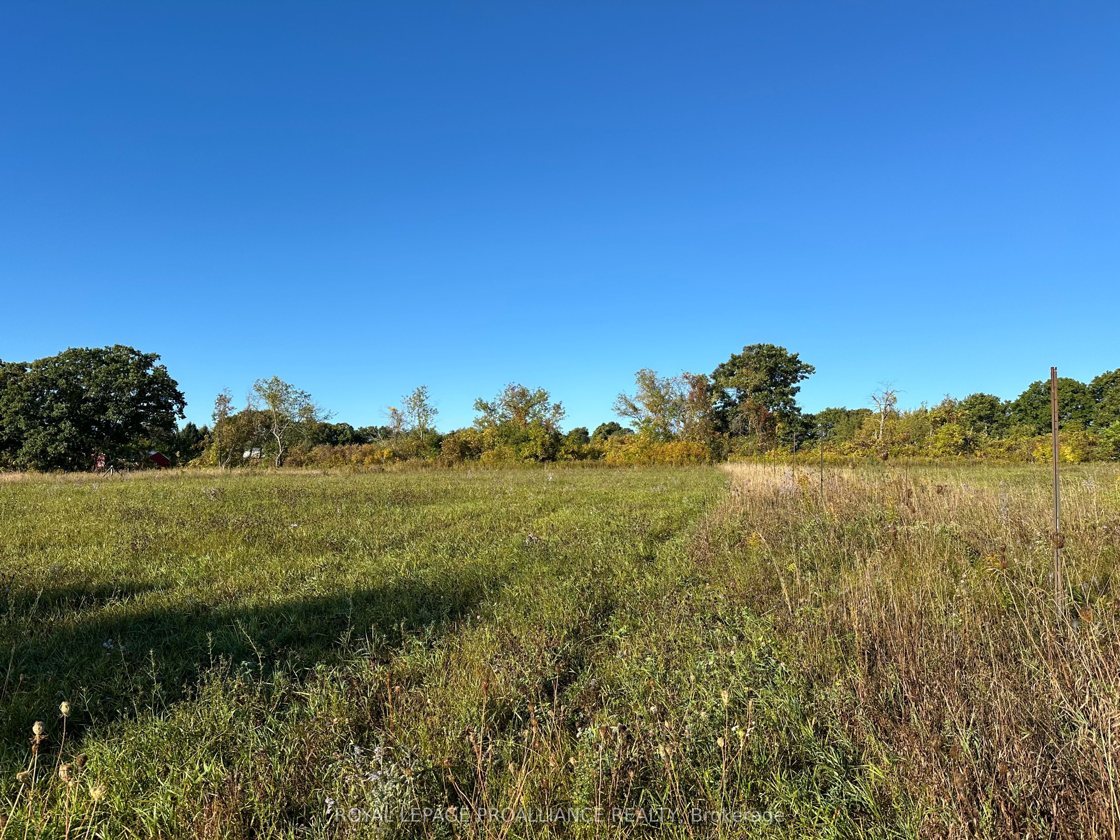 Pt Lt 24 County Road 9 Property Photo 4