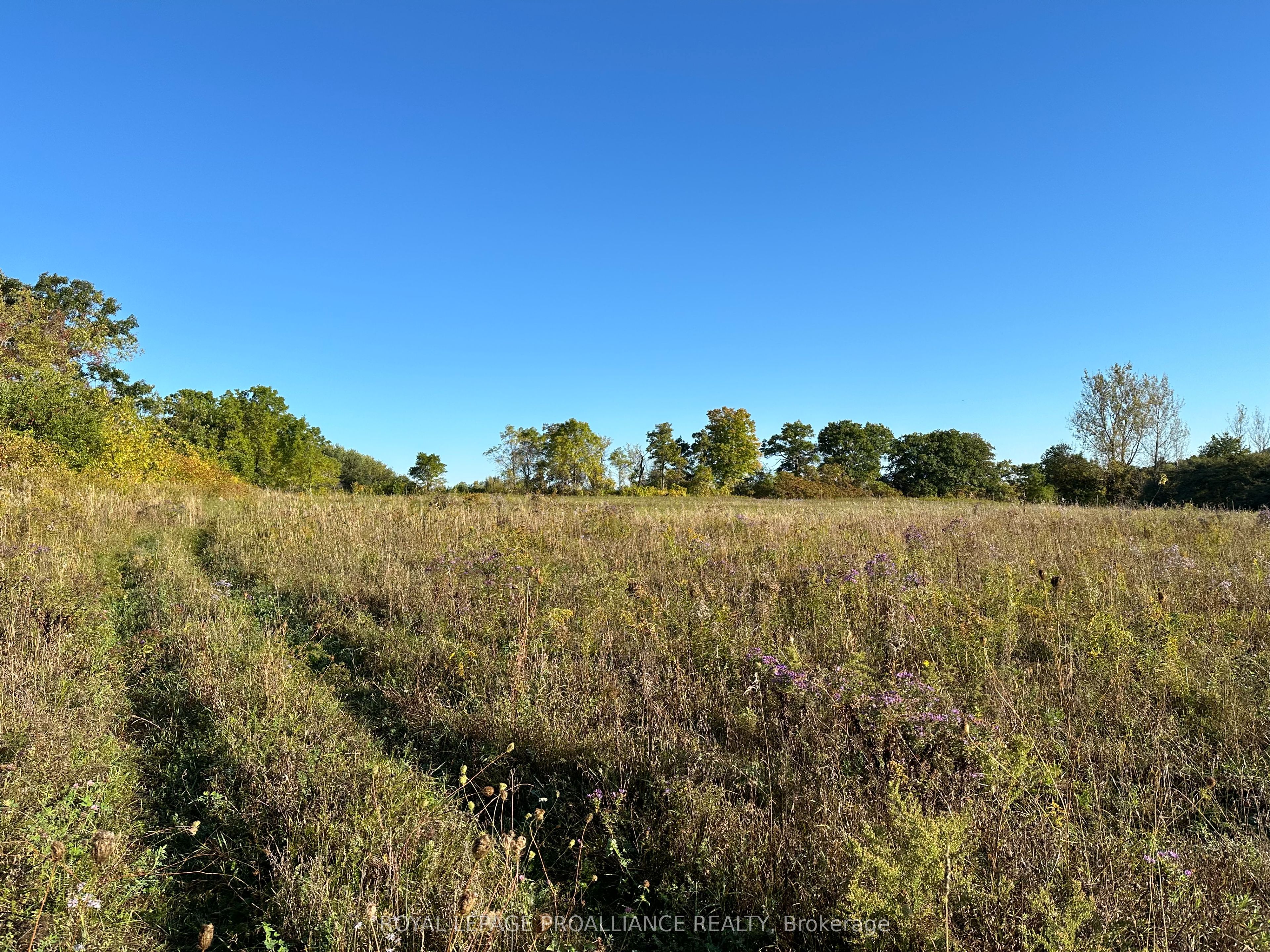 Pt Lt 24 County Road 9 Property Photo 7