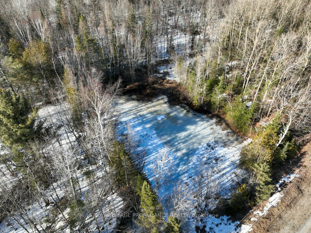 1151 Harlowe Road Property Photo 36