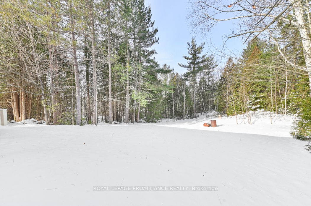 1115 Wintergreen Road Property Photo 30