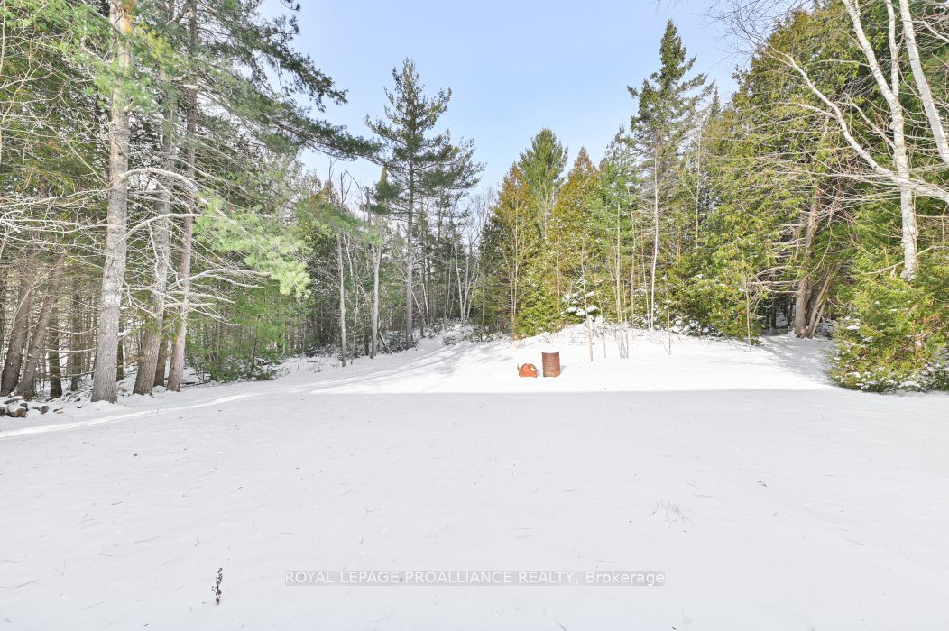 1115 Wintergreen Road Property Photo 31