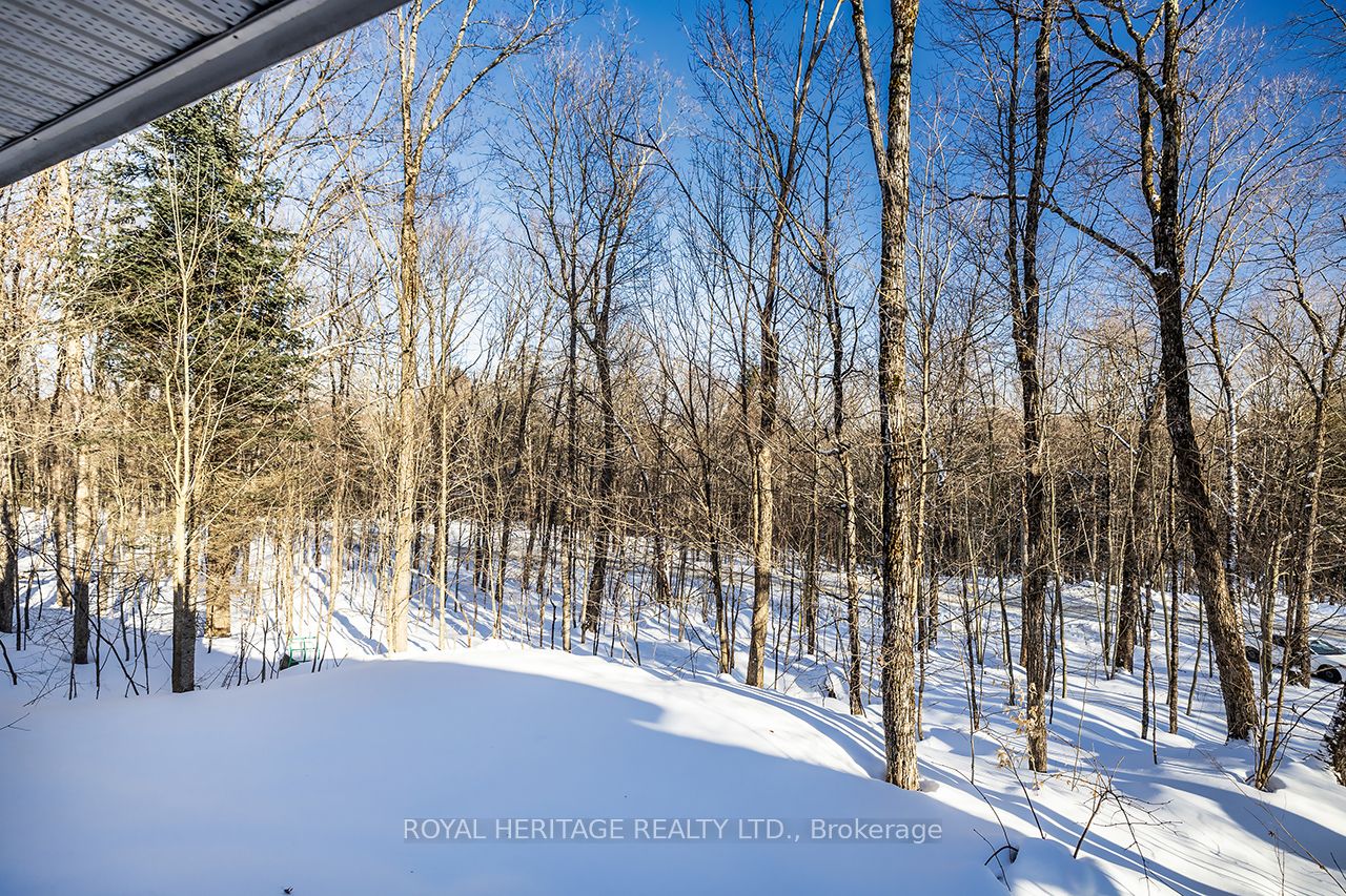 1030 Purbrook Road Property Photo 37