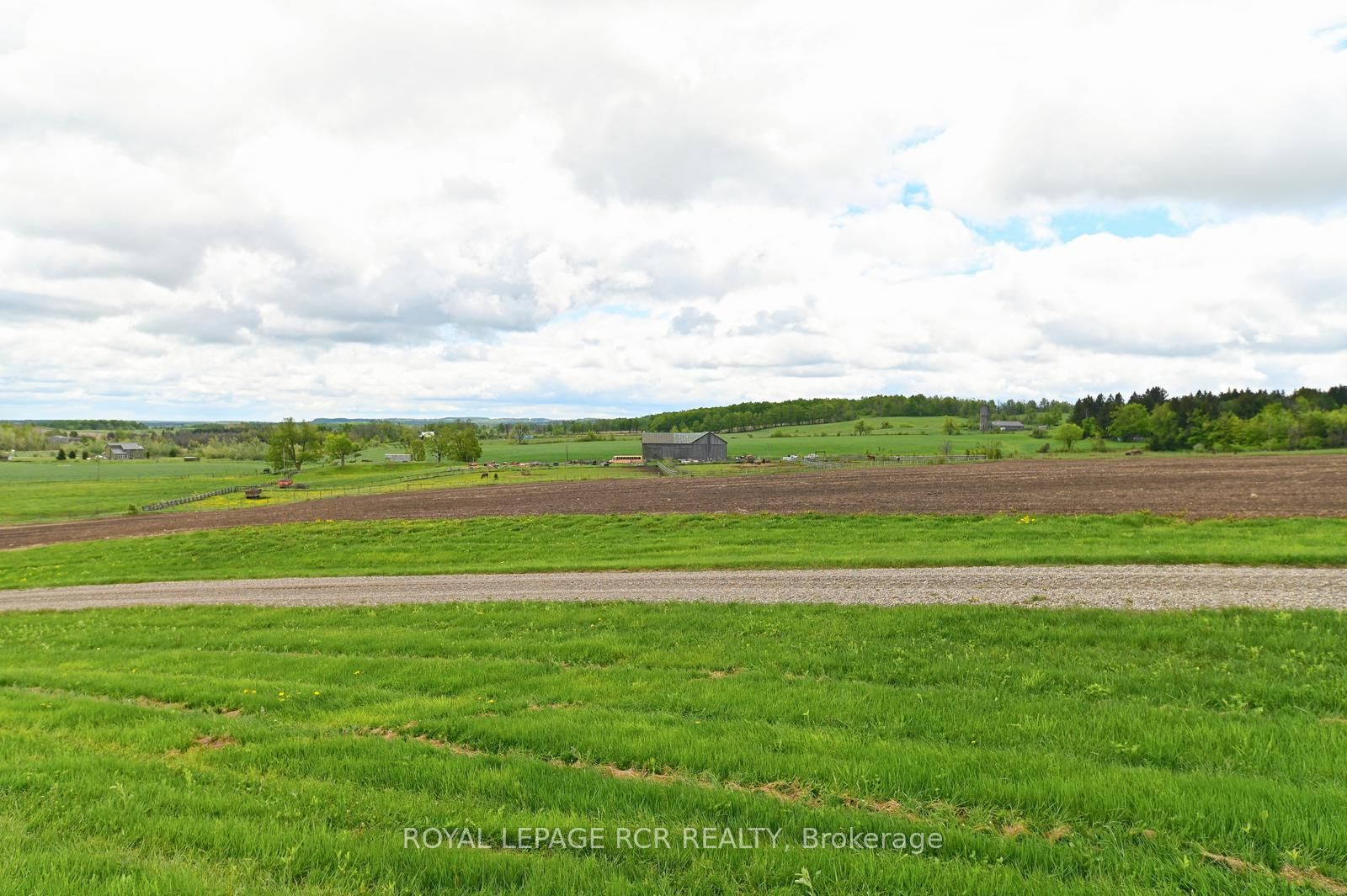 716582 1st Line E H S N/a Property Photo 12