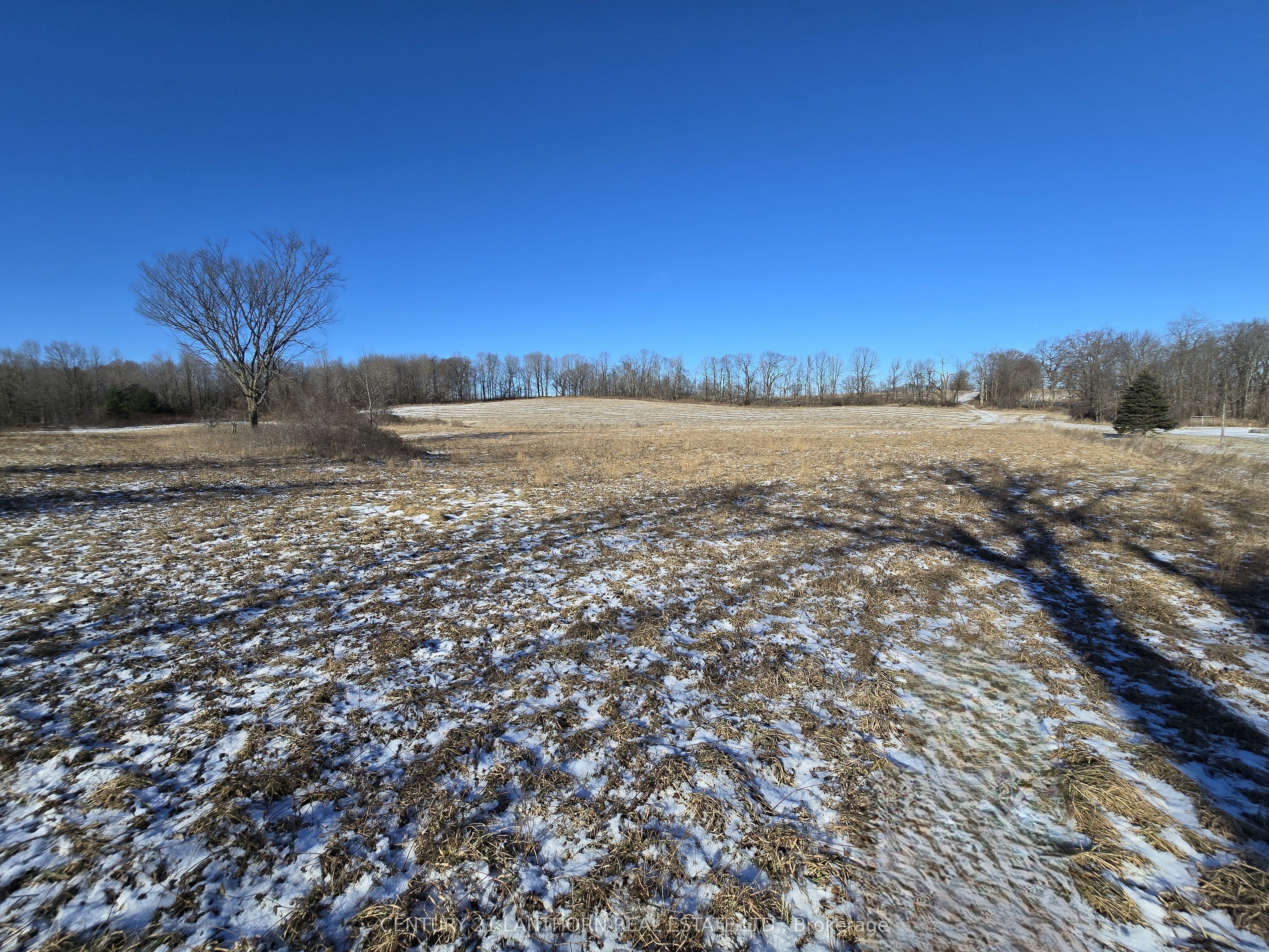 4272 Yarker Road Property Photo 2