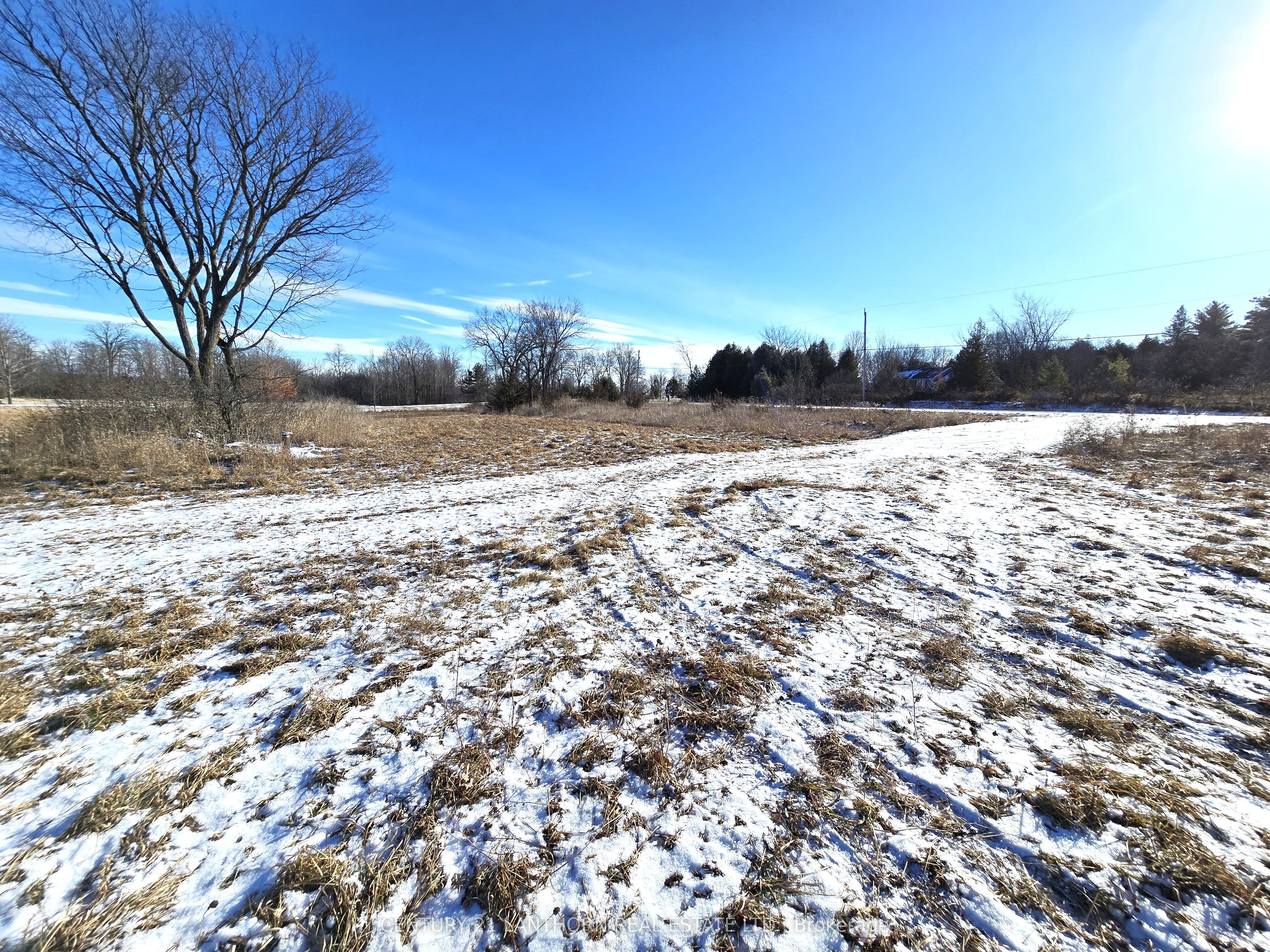 4272 Yarker Road Property Photo 3