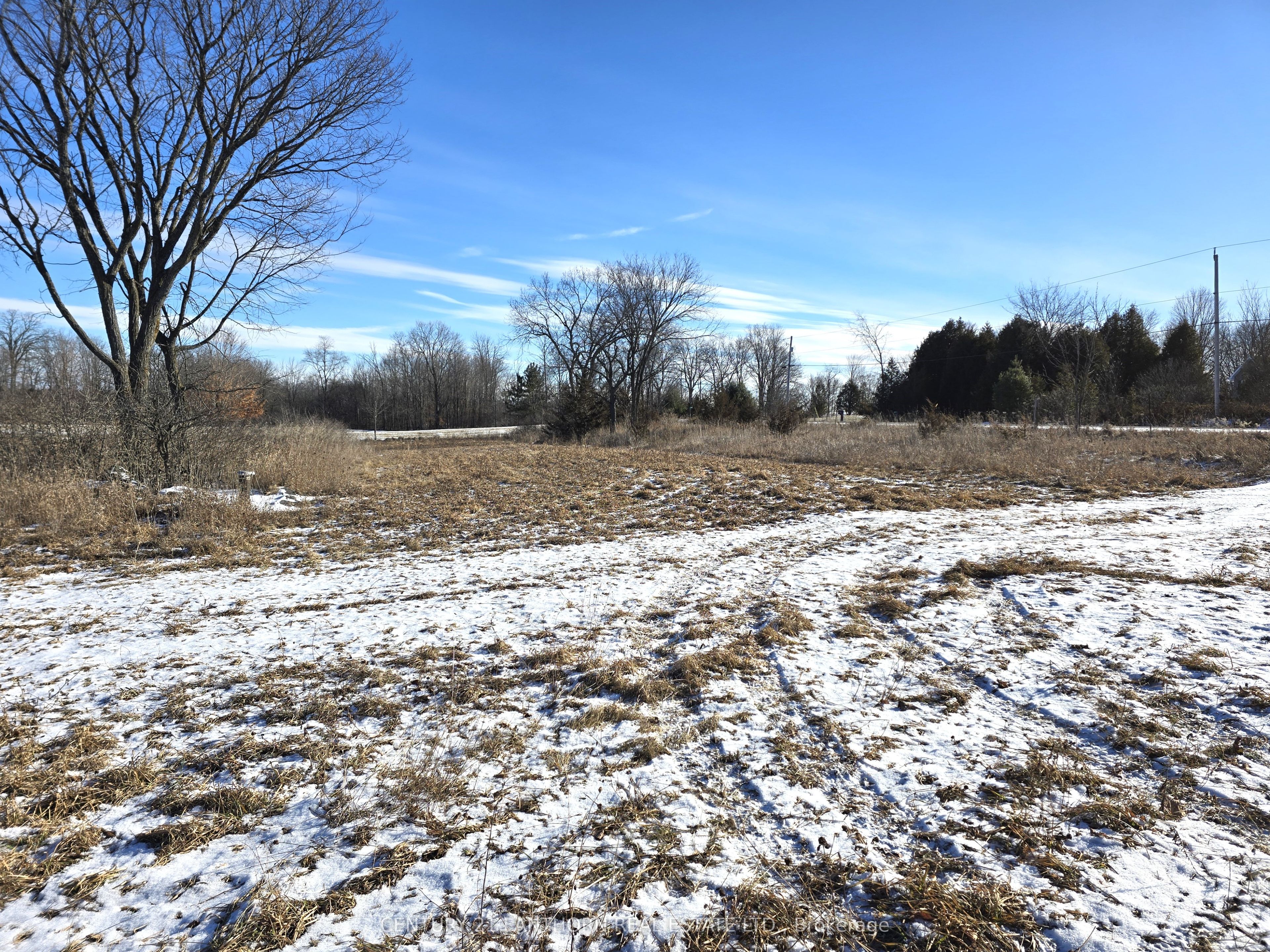 4272 Yarker Road Property Photo 4