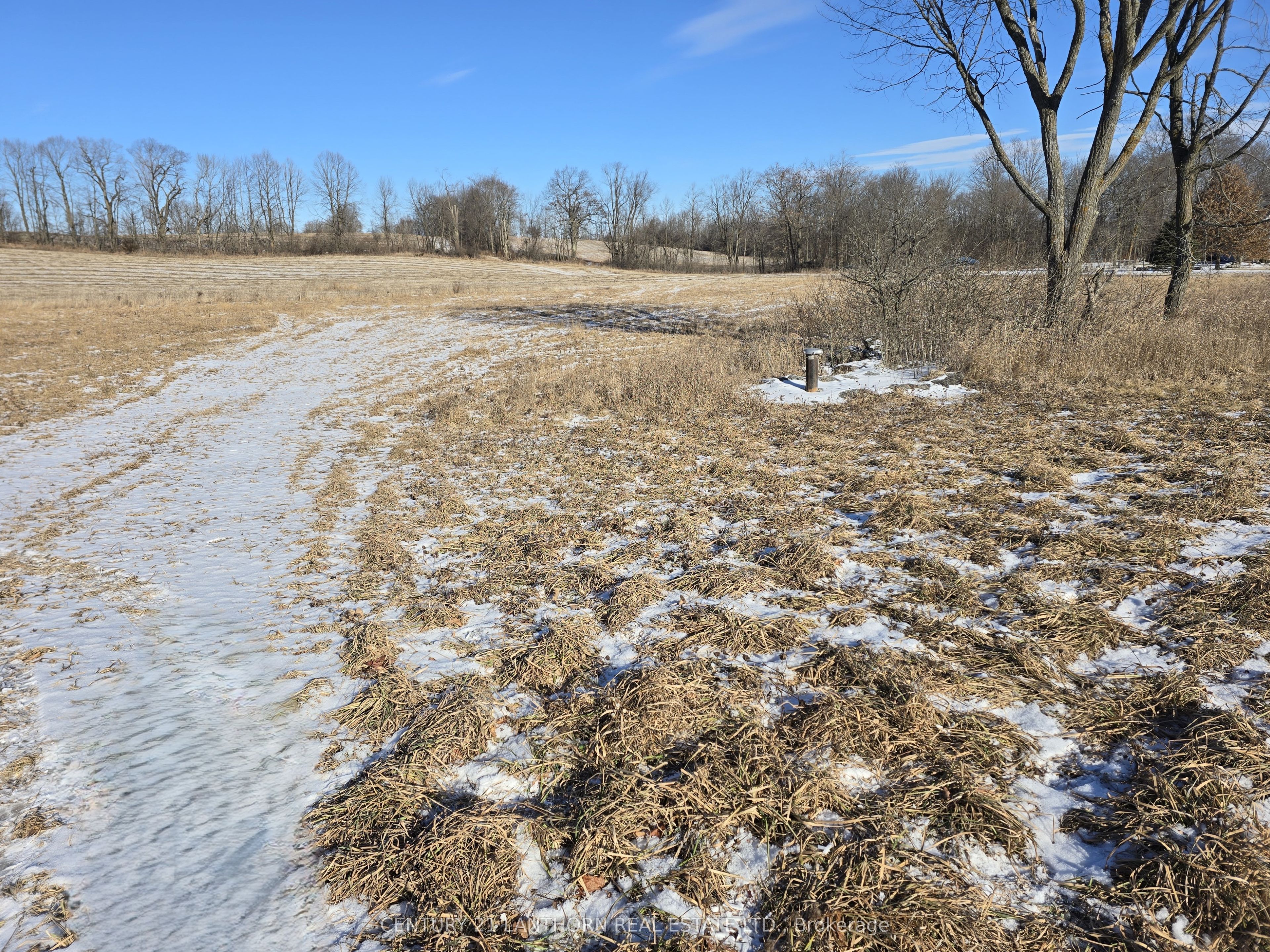 4272 Yarker Road Property Photo 6