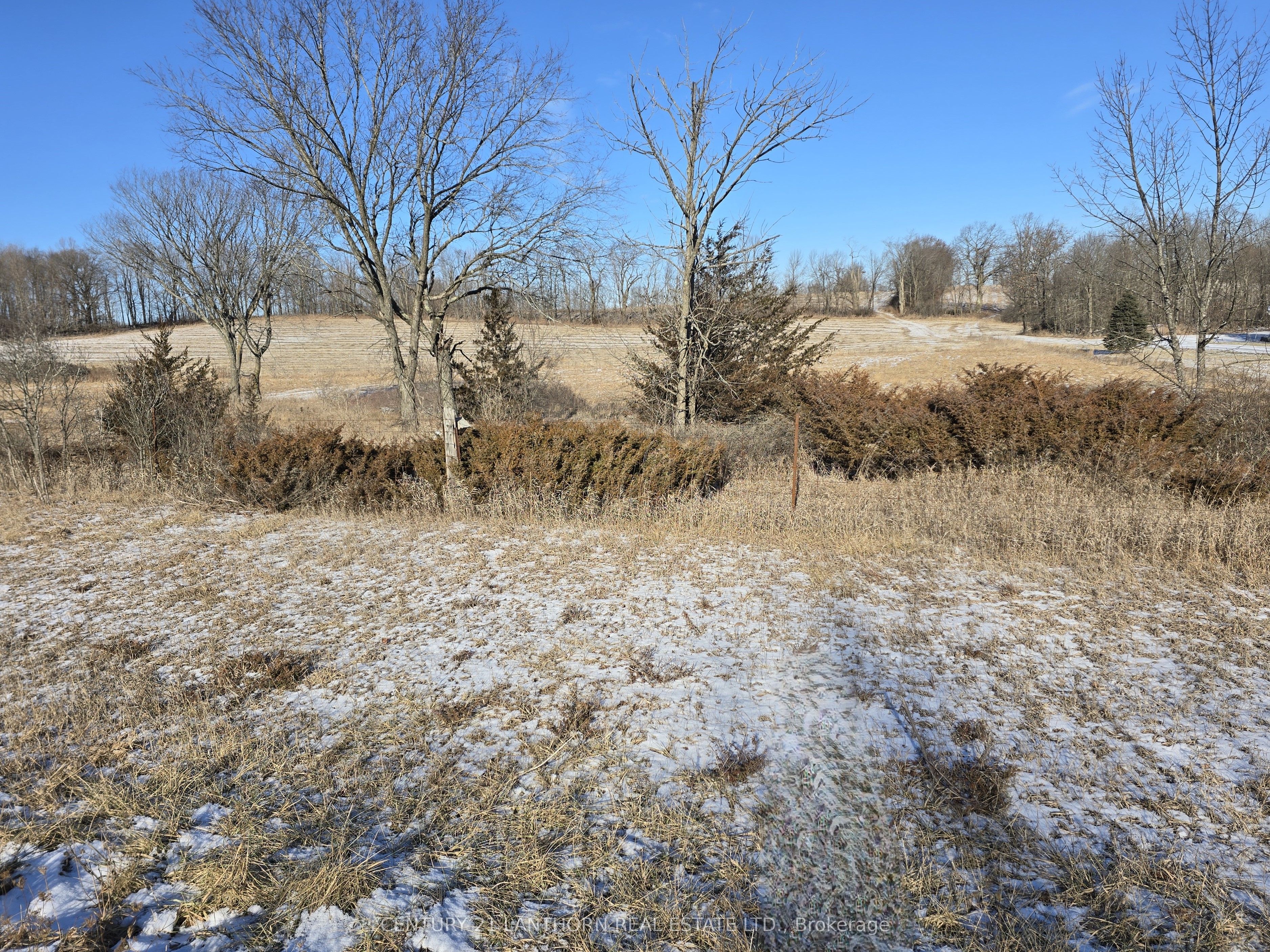 4272 Yarker Road Property Photo 10