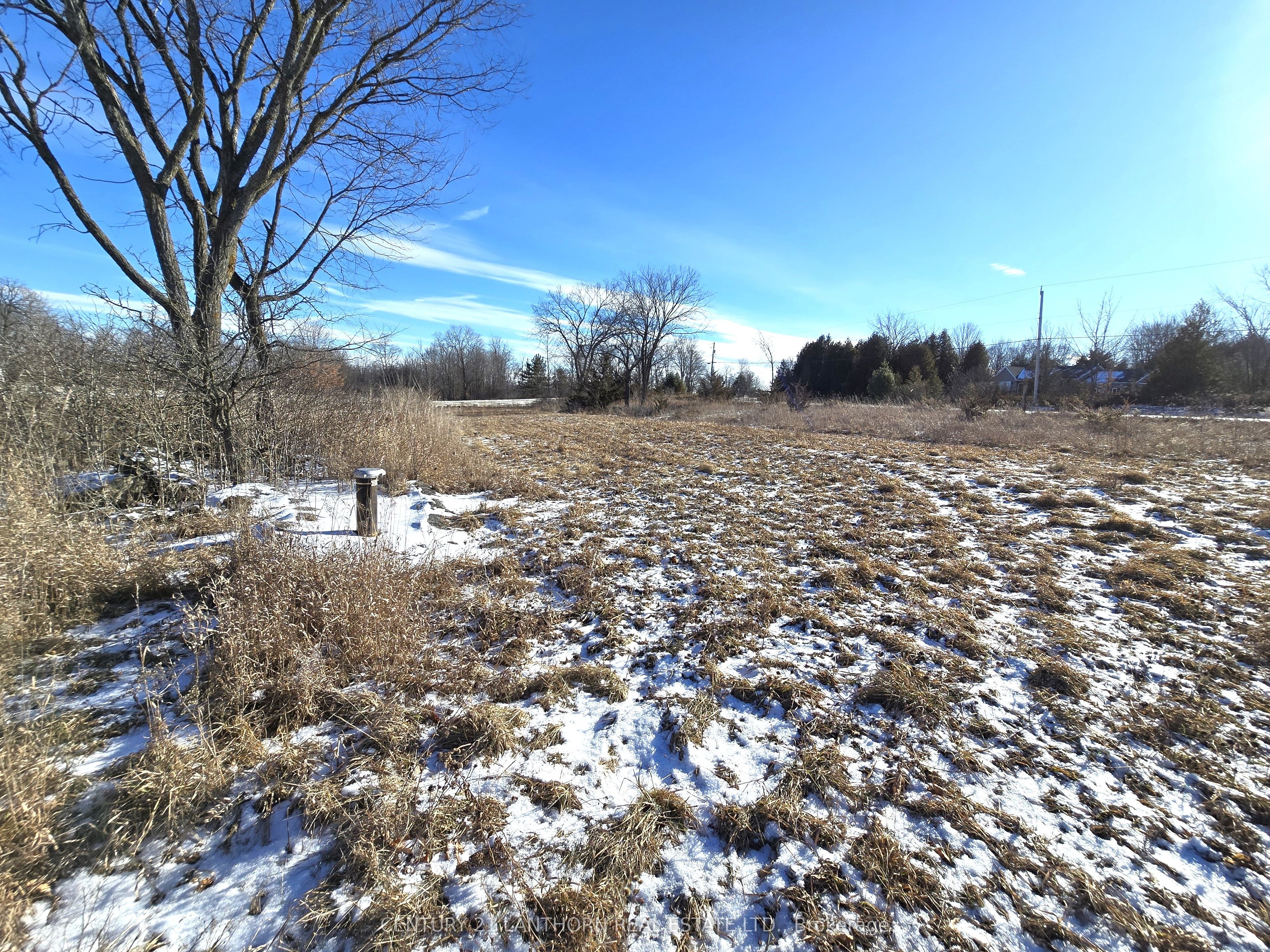 4272 Yarker Road Property Photo 13