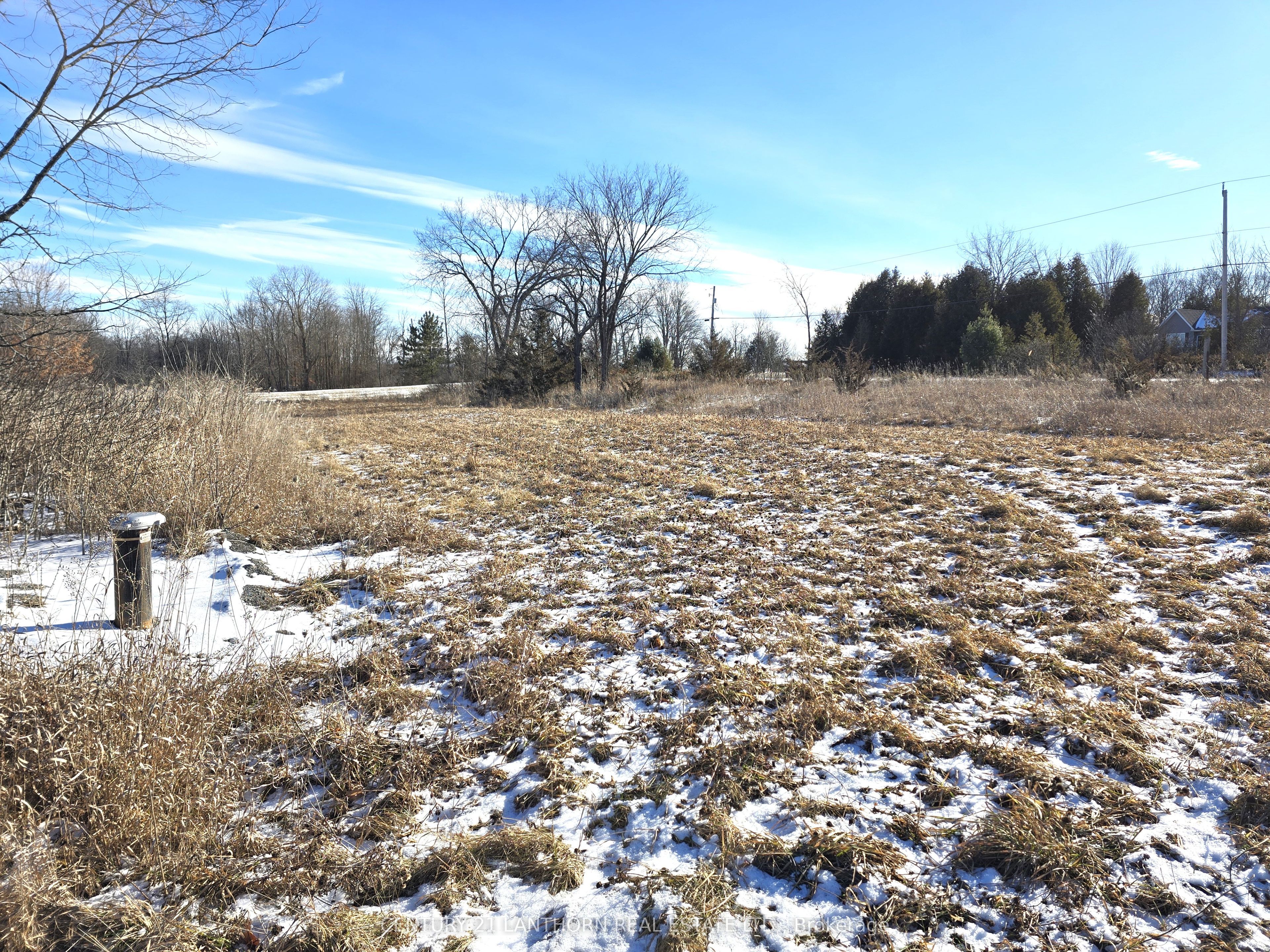 4272 Yarker Road Property Photo 14