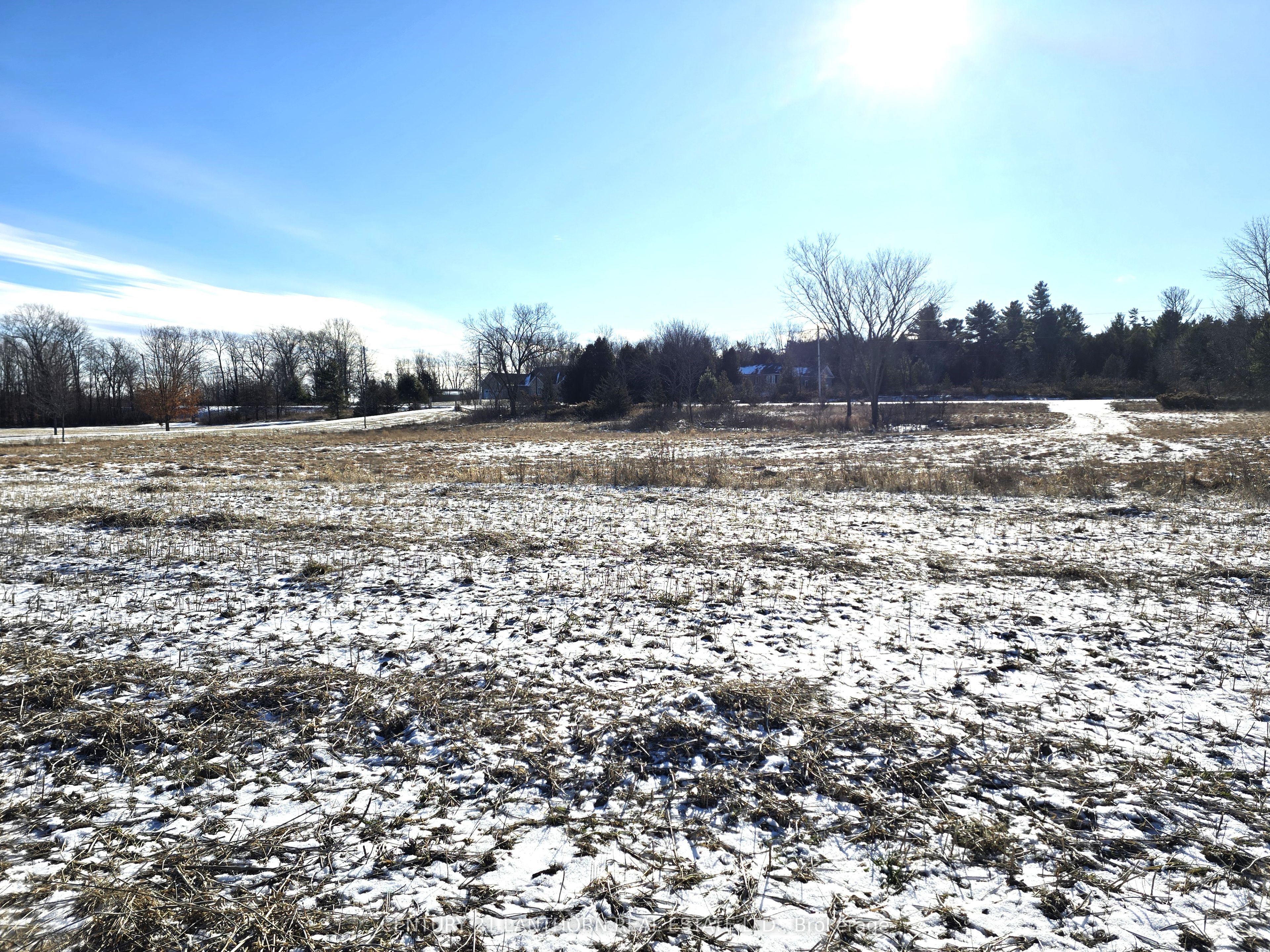 4272 Yarker Road Property Photo 15