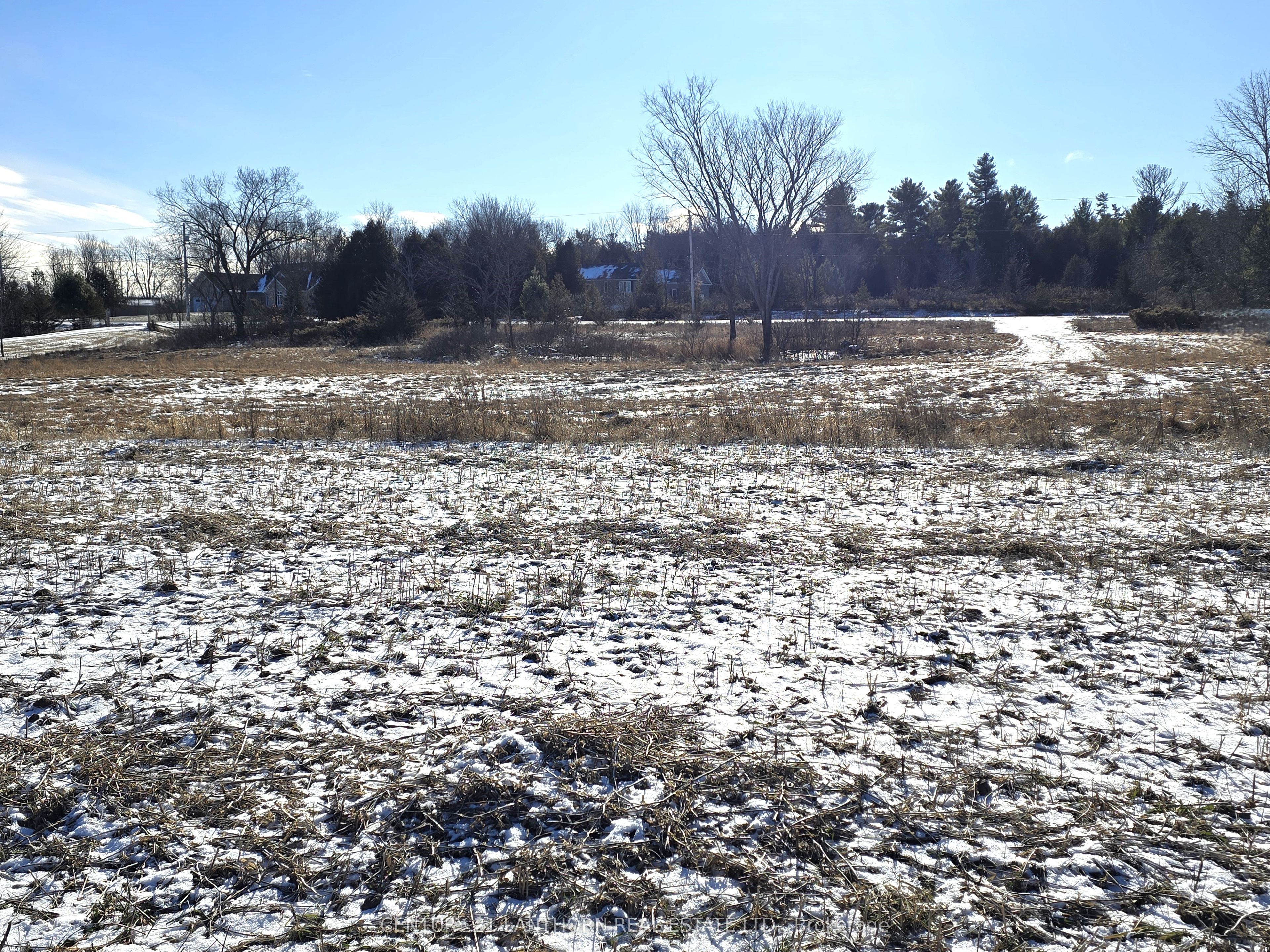 4272 Yarker Road Property Photo 16