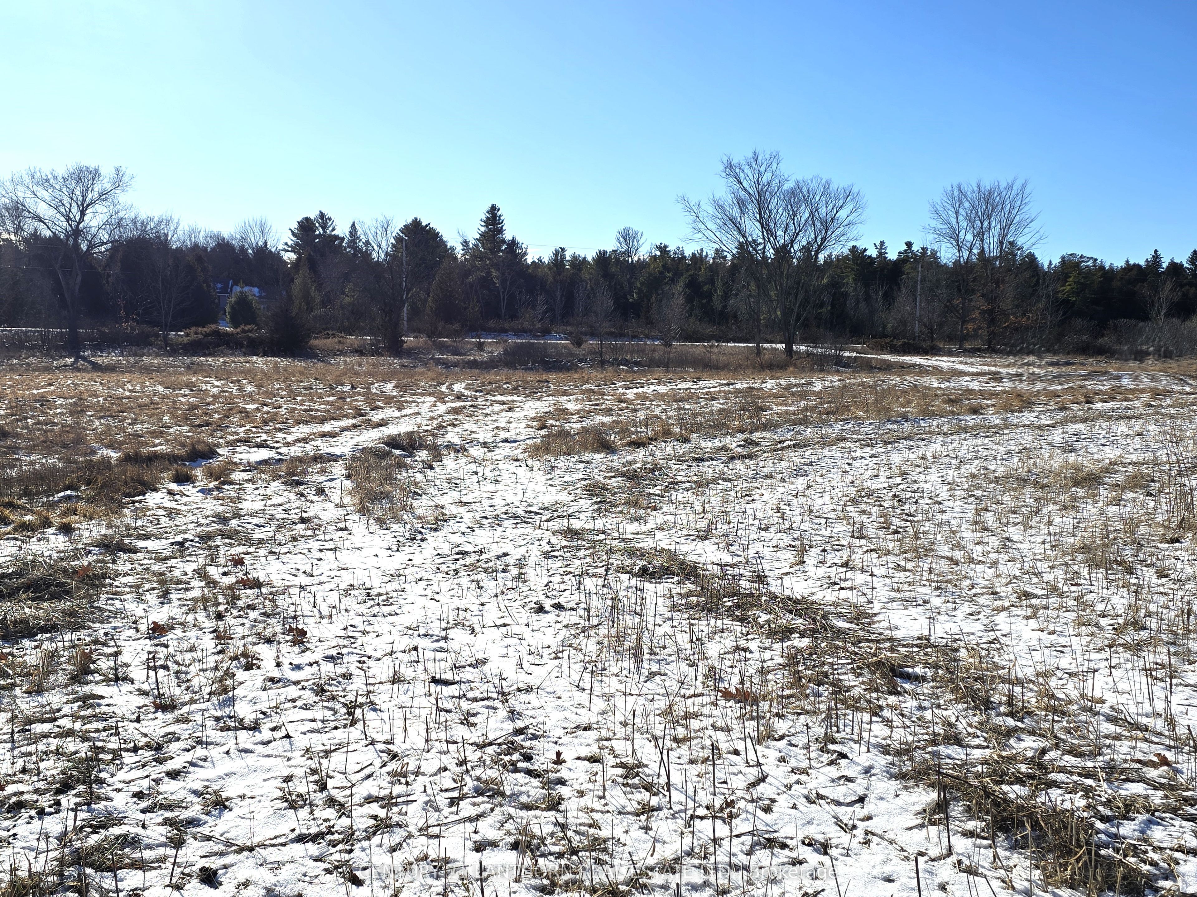 4272 Yarker Road Property Photo 18