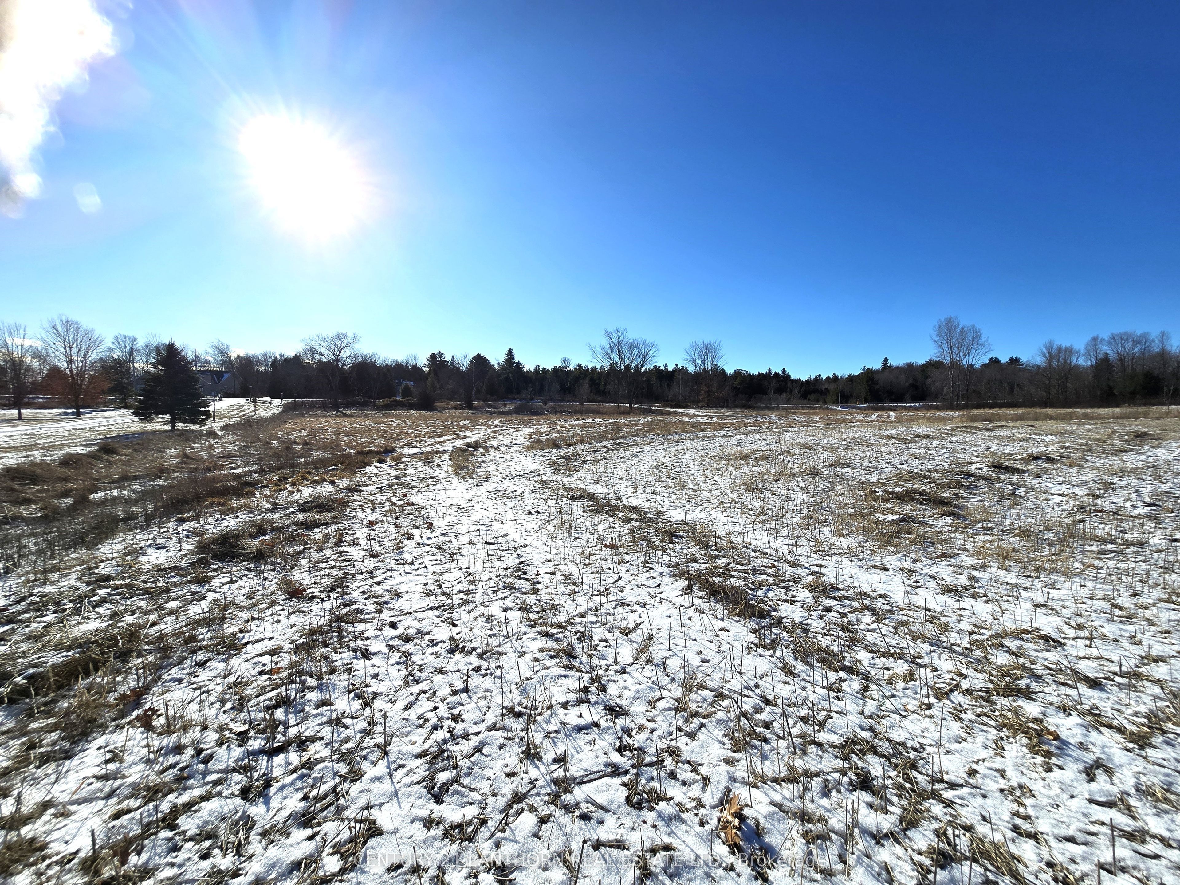 4272 Yarker Road Property Photo 19