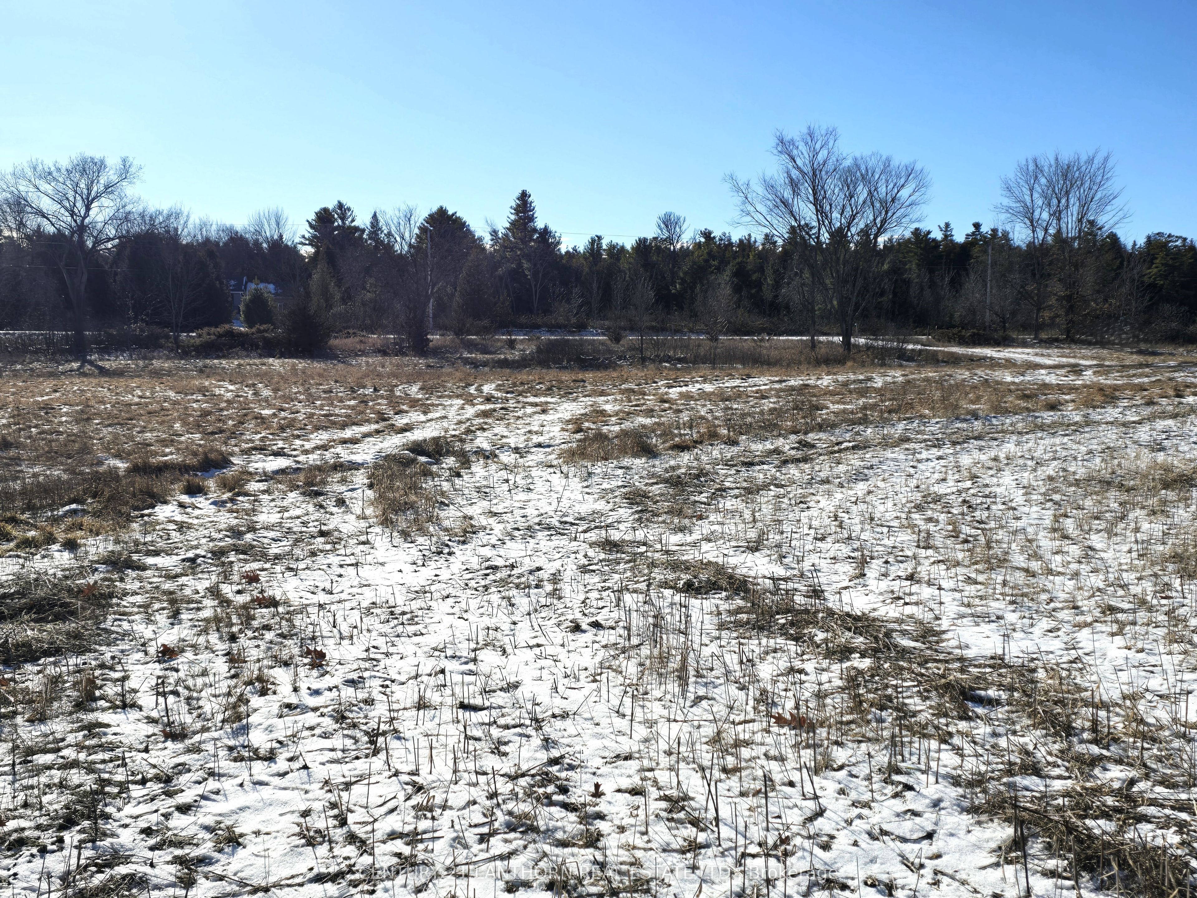4272 Yarker Road Property Photo 20