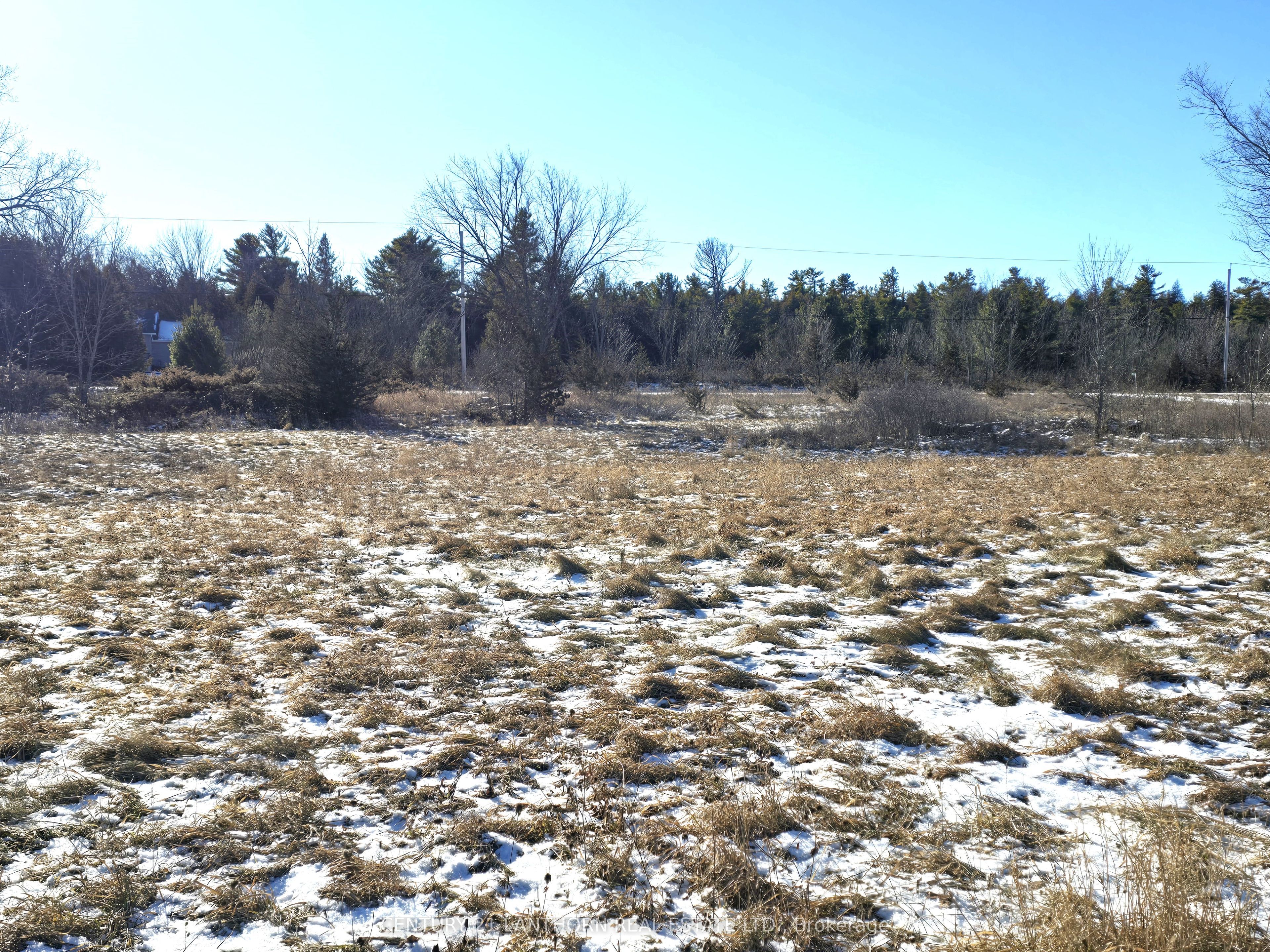 4272 Yarker Road Property Photo 21