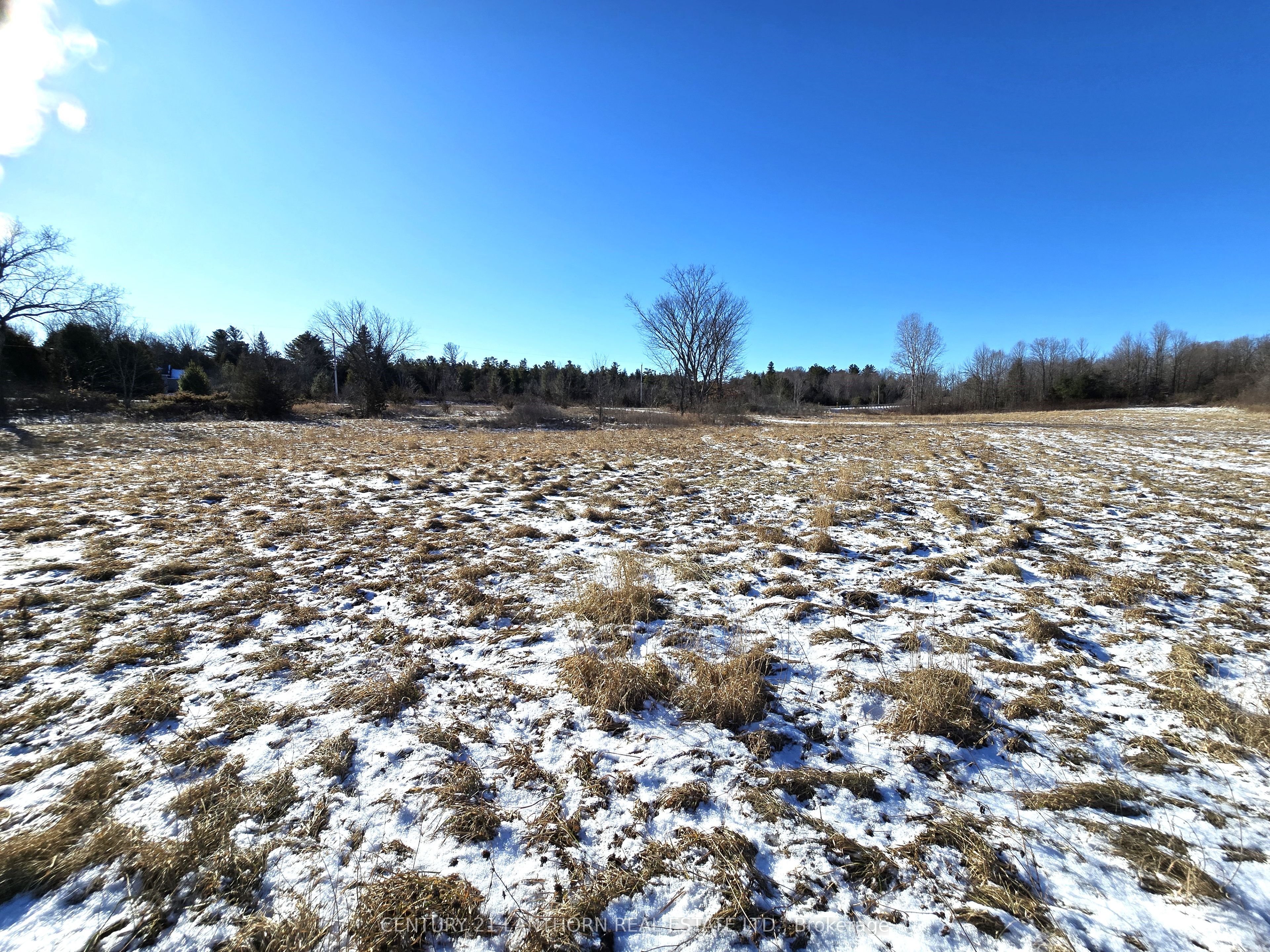 4272 Yarker Road Property Photo 23