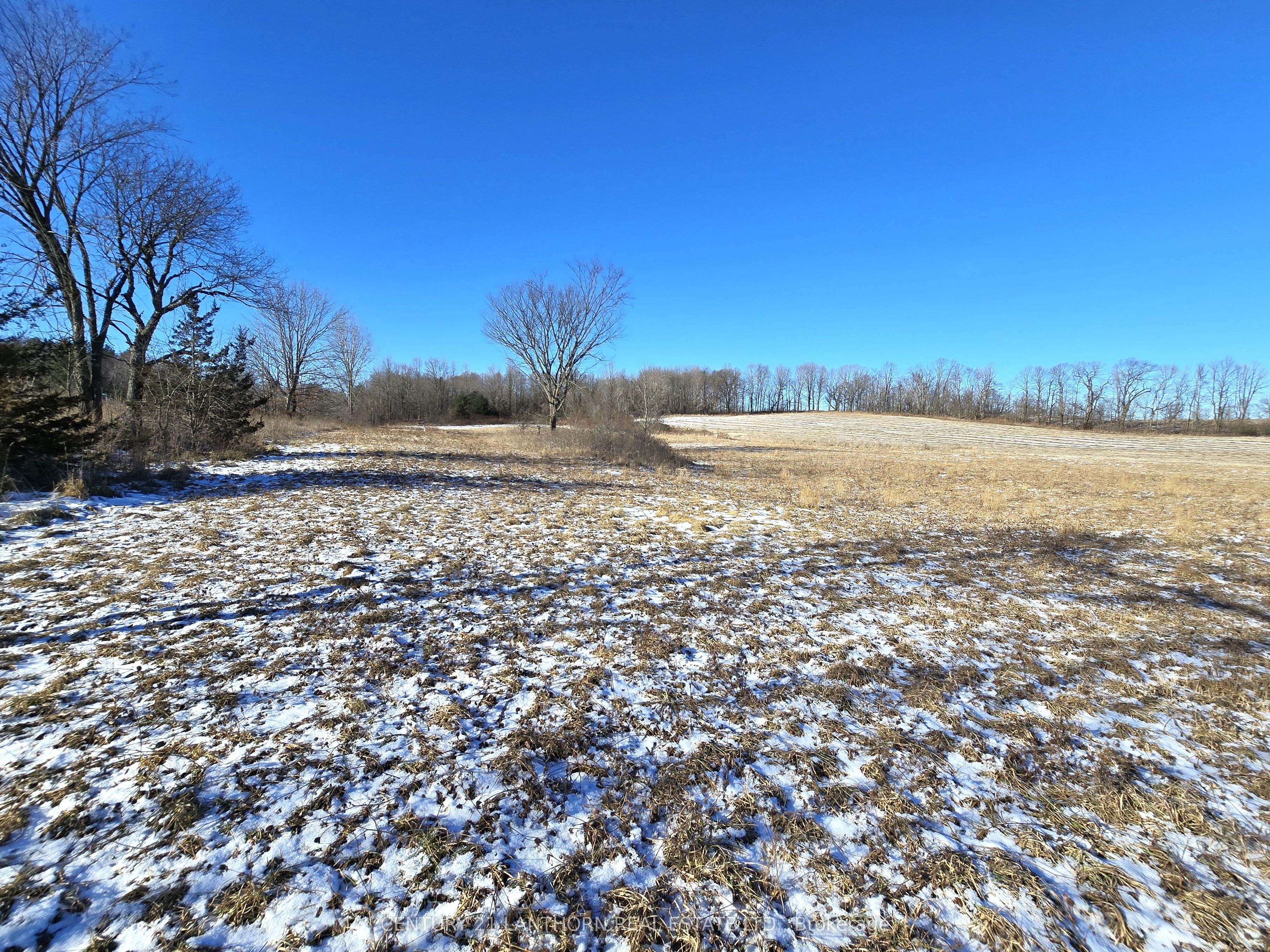 4272 Yarker Road Property Photo 24