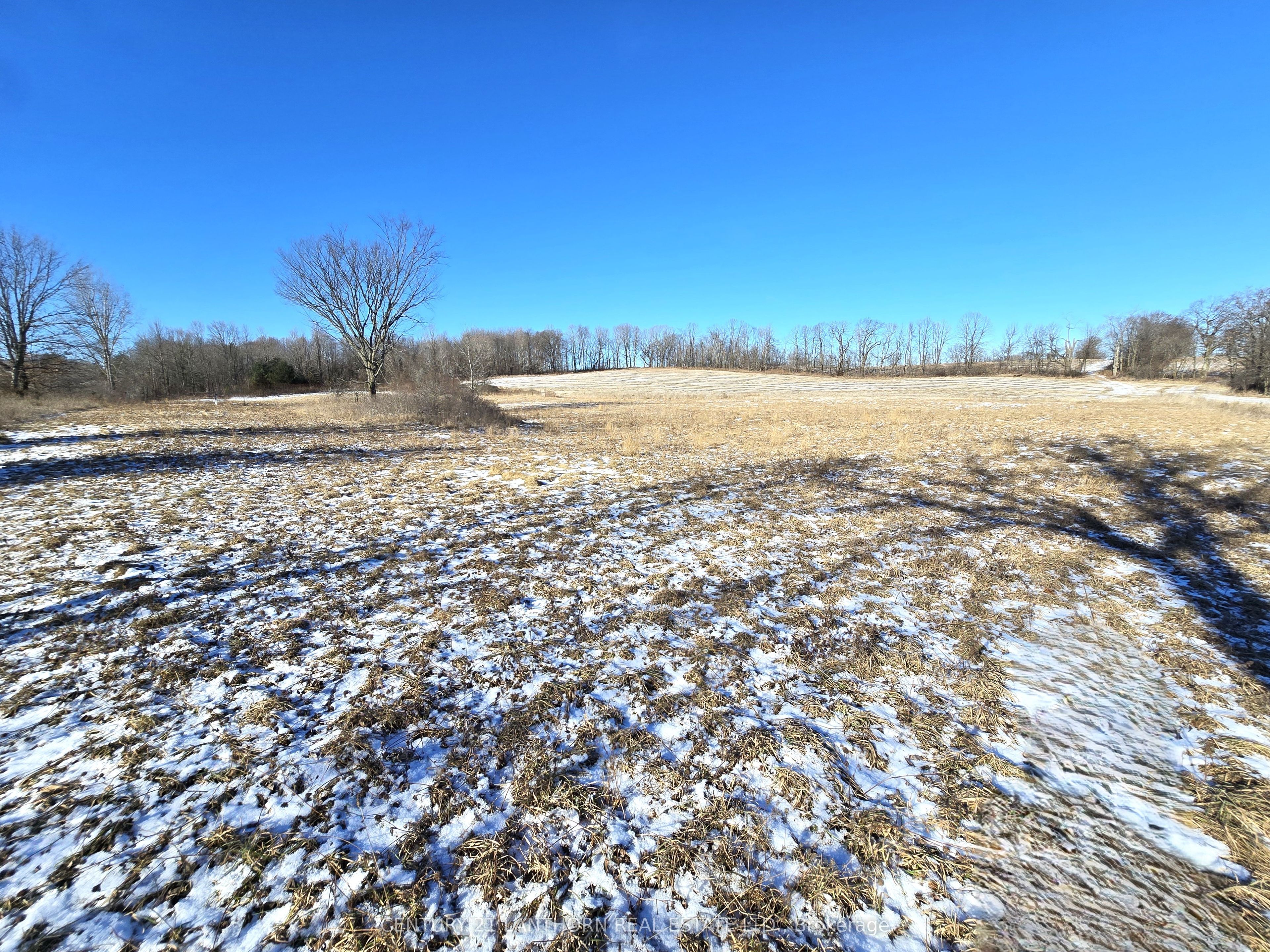 4272 Yarker Road Property Photo 25