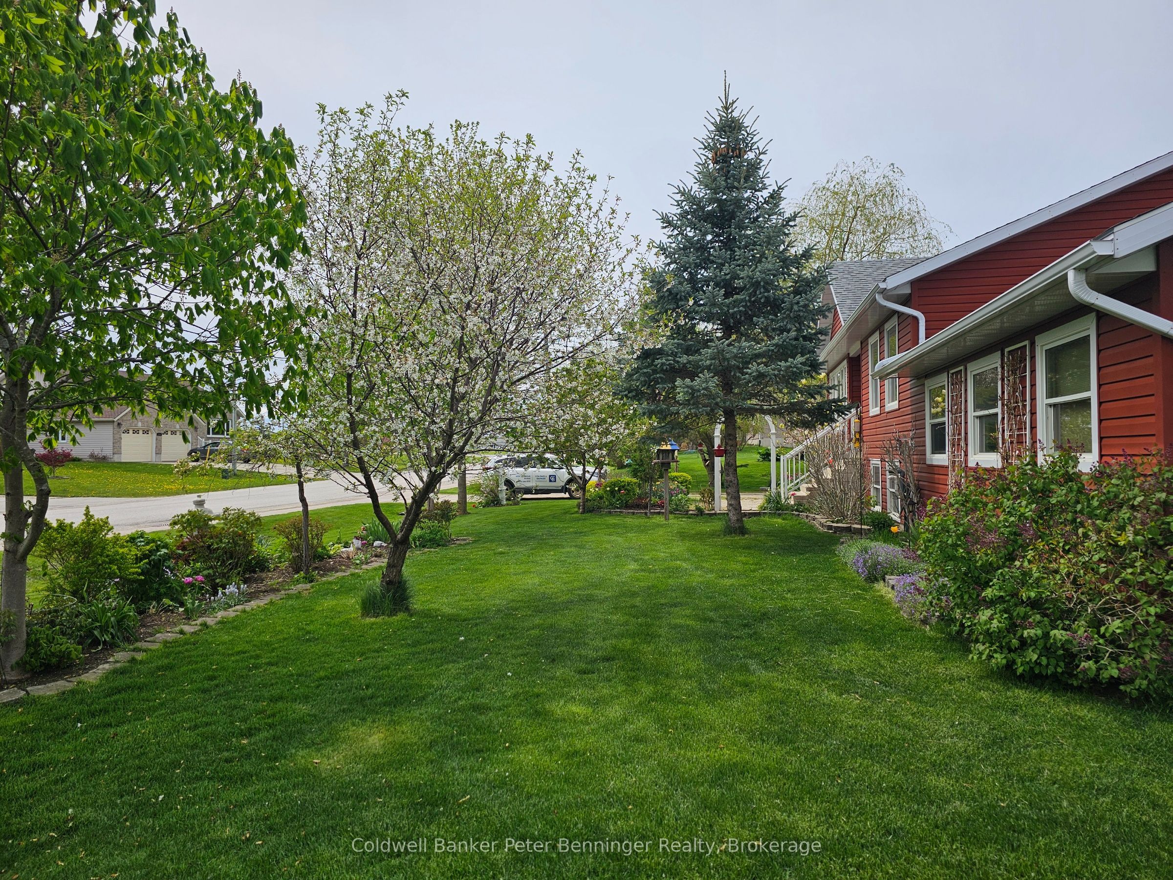 292 Balaklava Street Property Photo 4