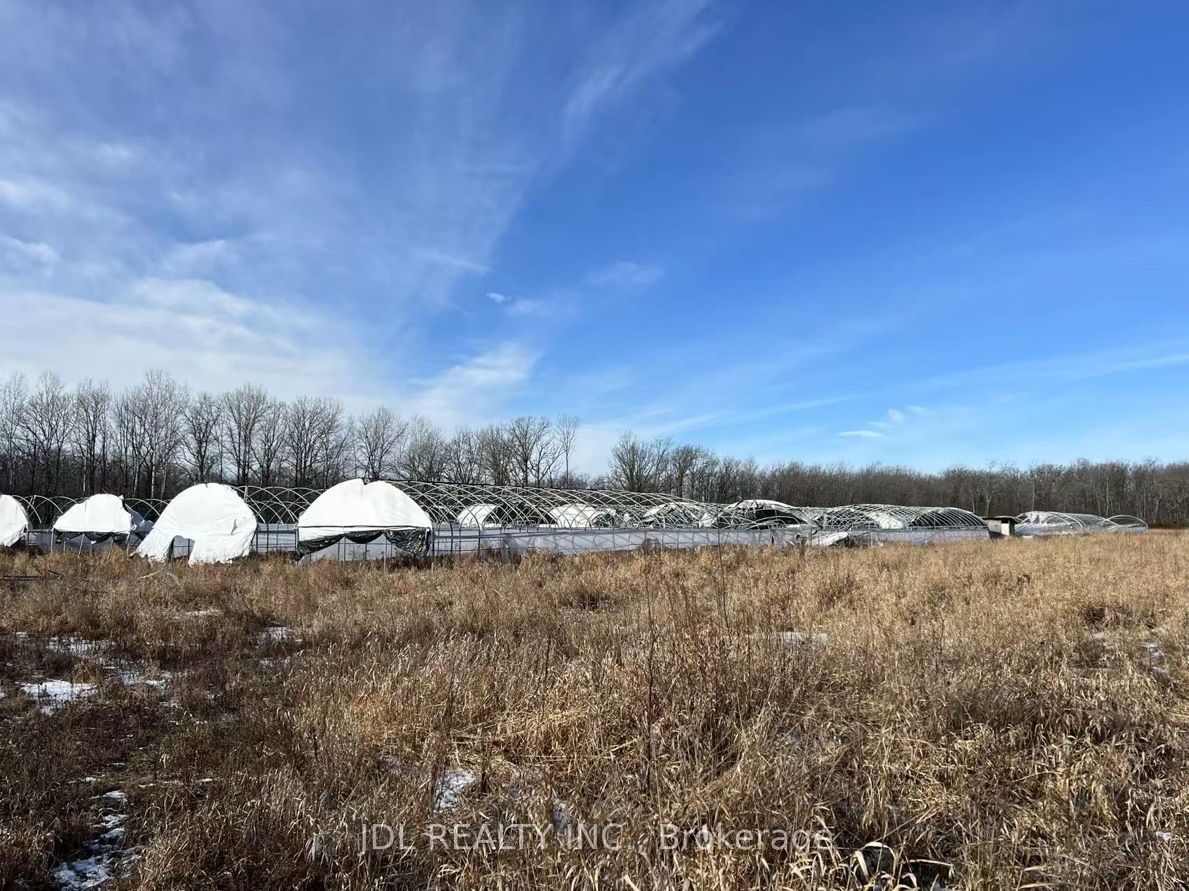 457 Jericho Road Property Photo 20