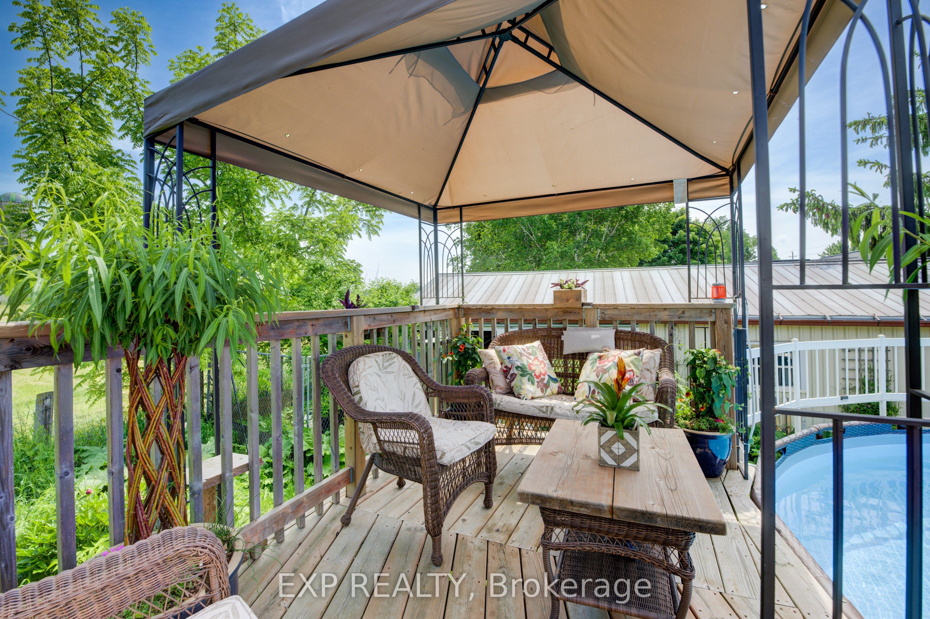 43 George Street Property Photo 24