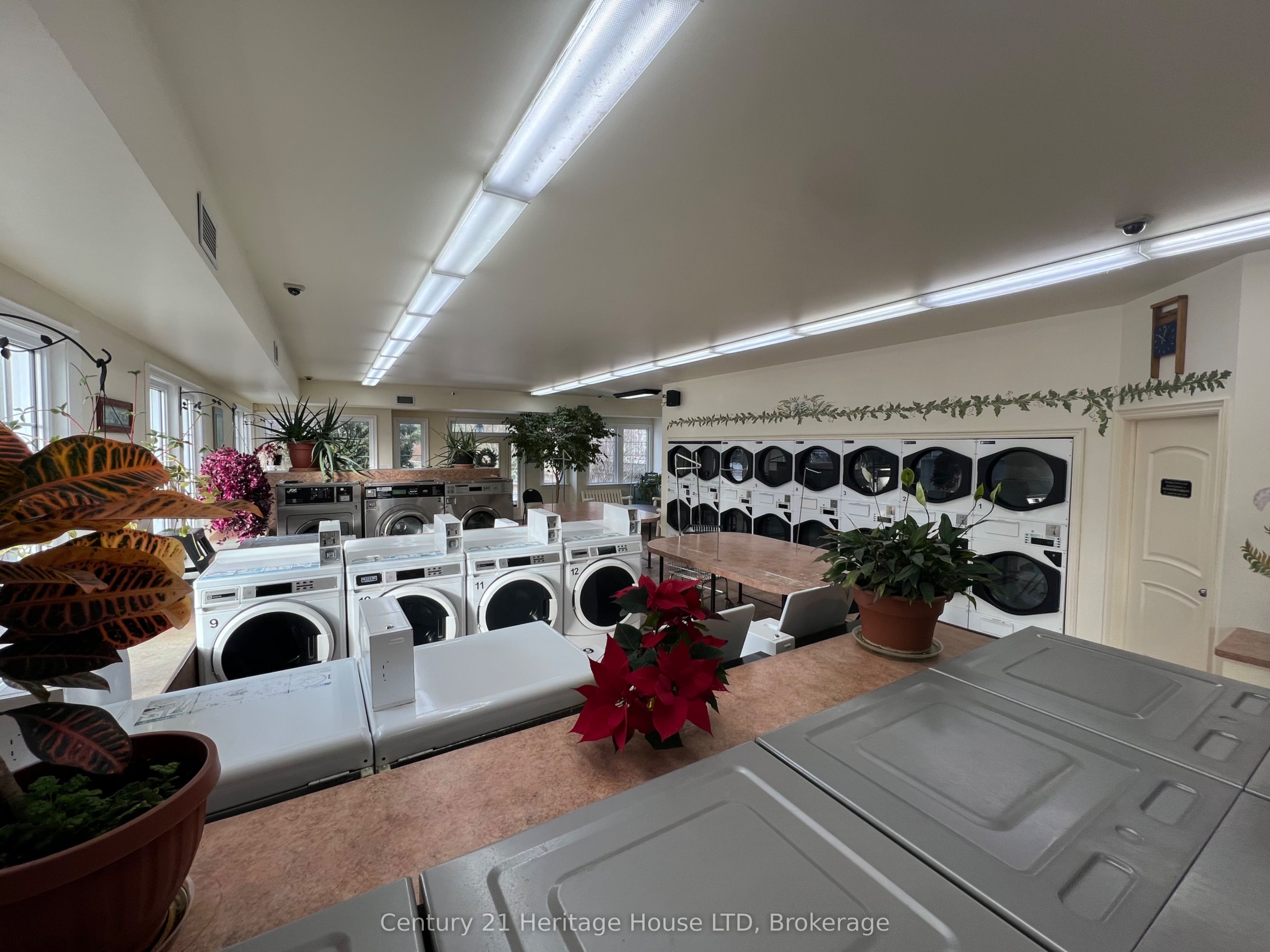 468 Ridge Road Property Photo 13