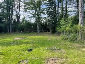 4918 Palmer Road Property Photo 8