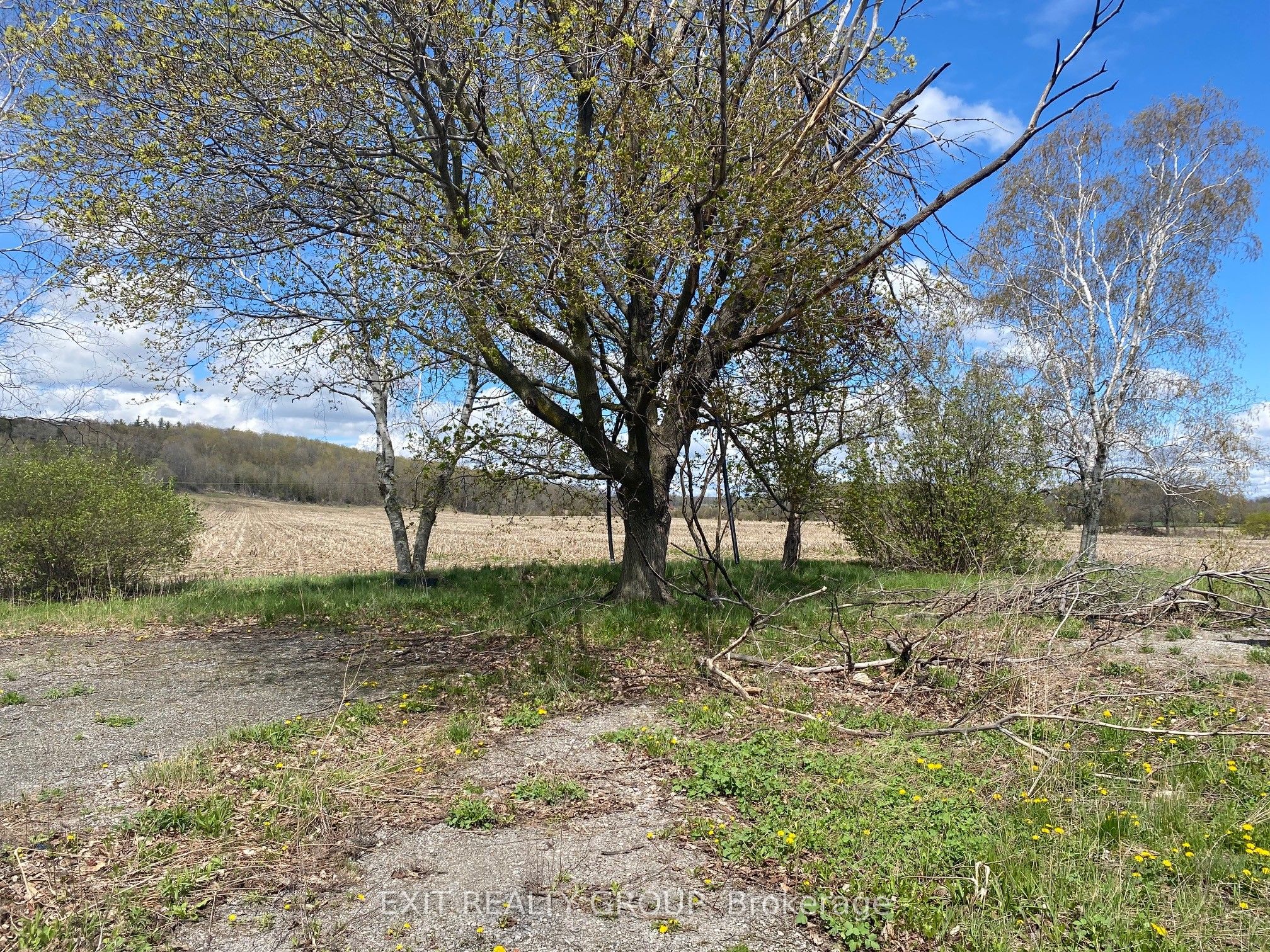 1808 Harrington Road Property Photo 5