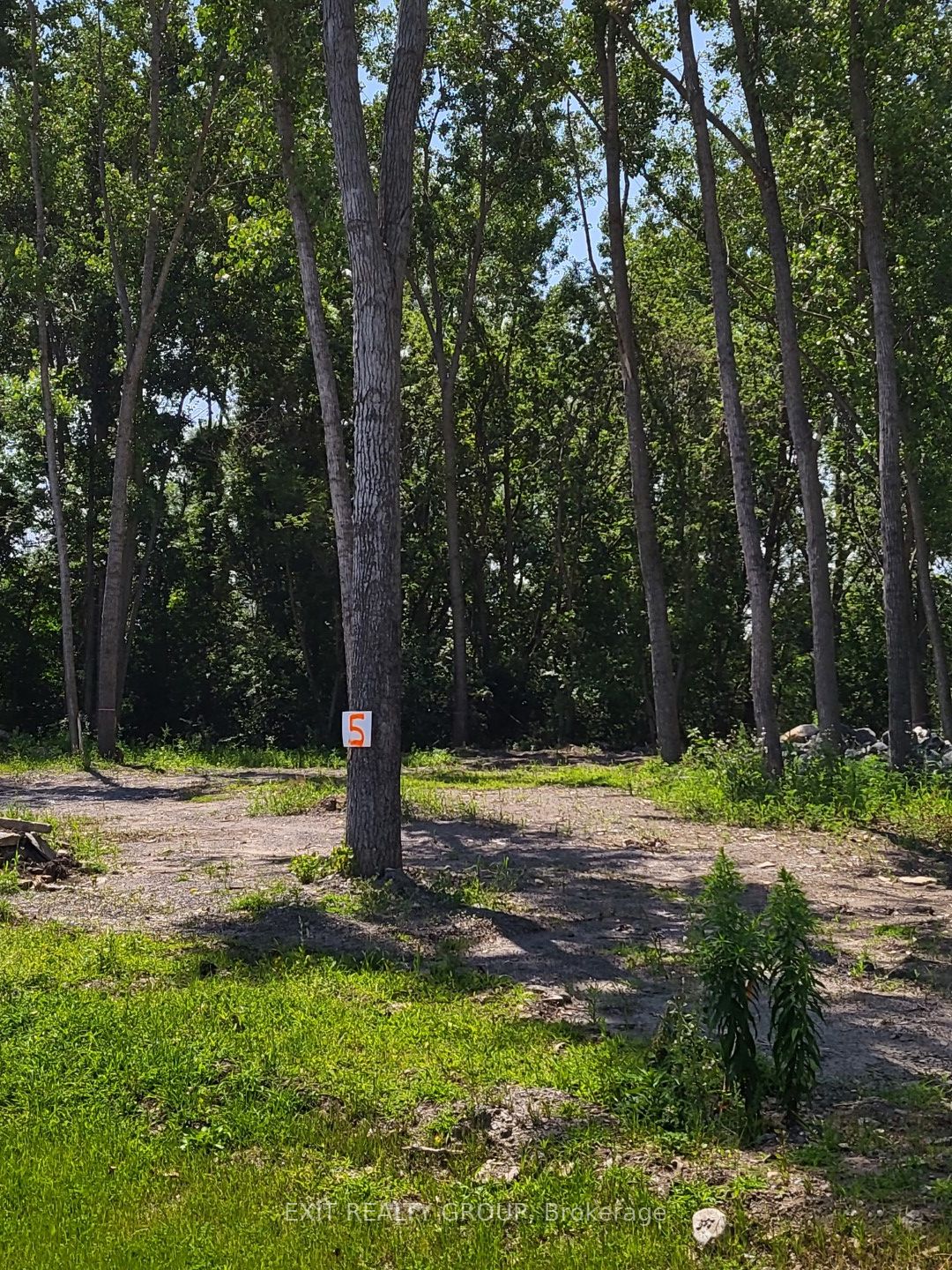 Lot 5 Hennessy Street Property Photo 5