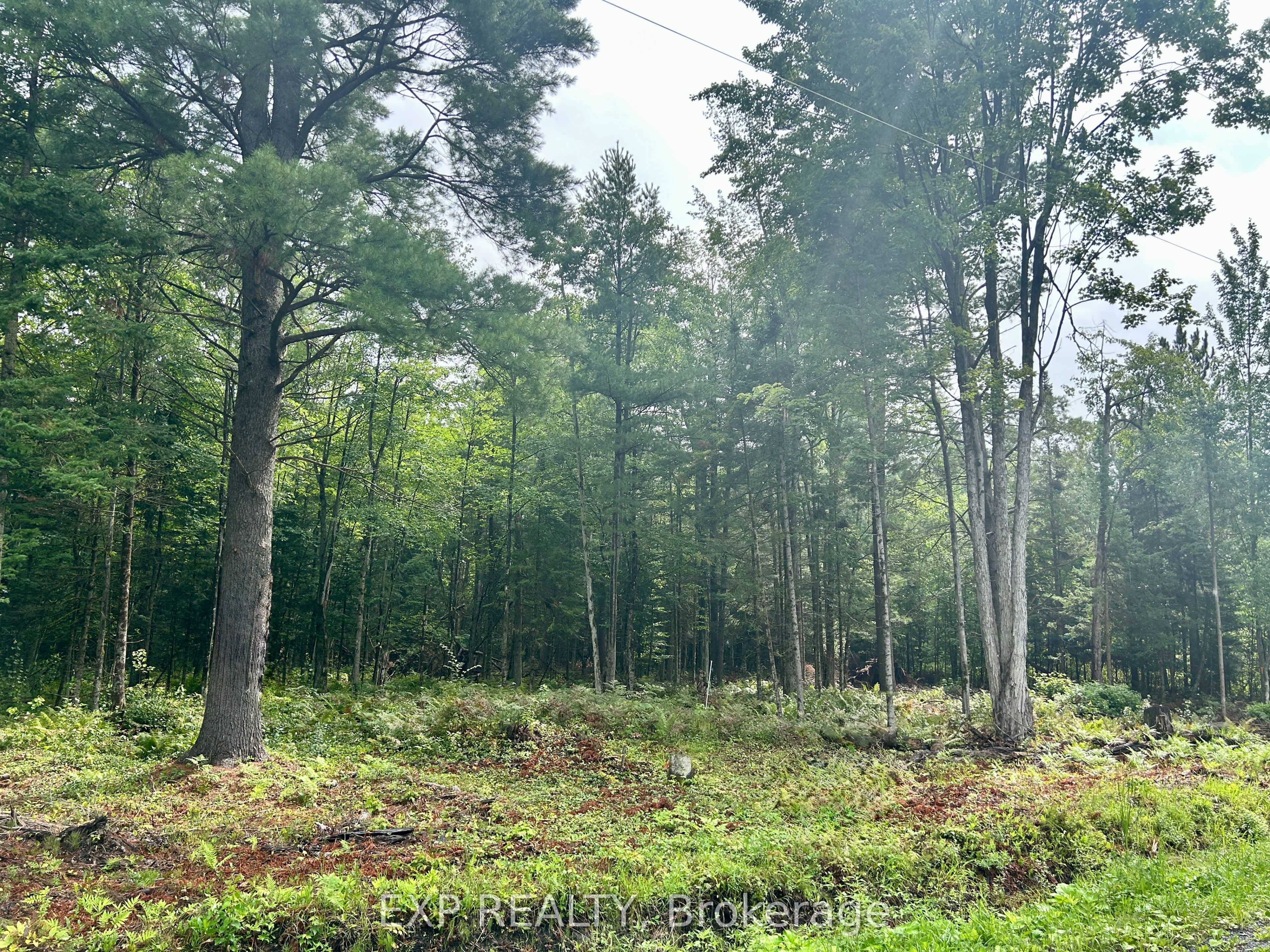 0 14 Route Property Photo 12