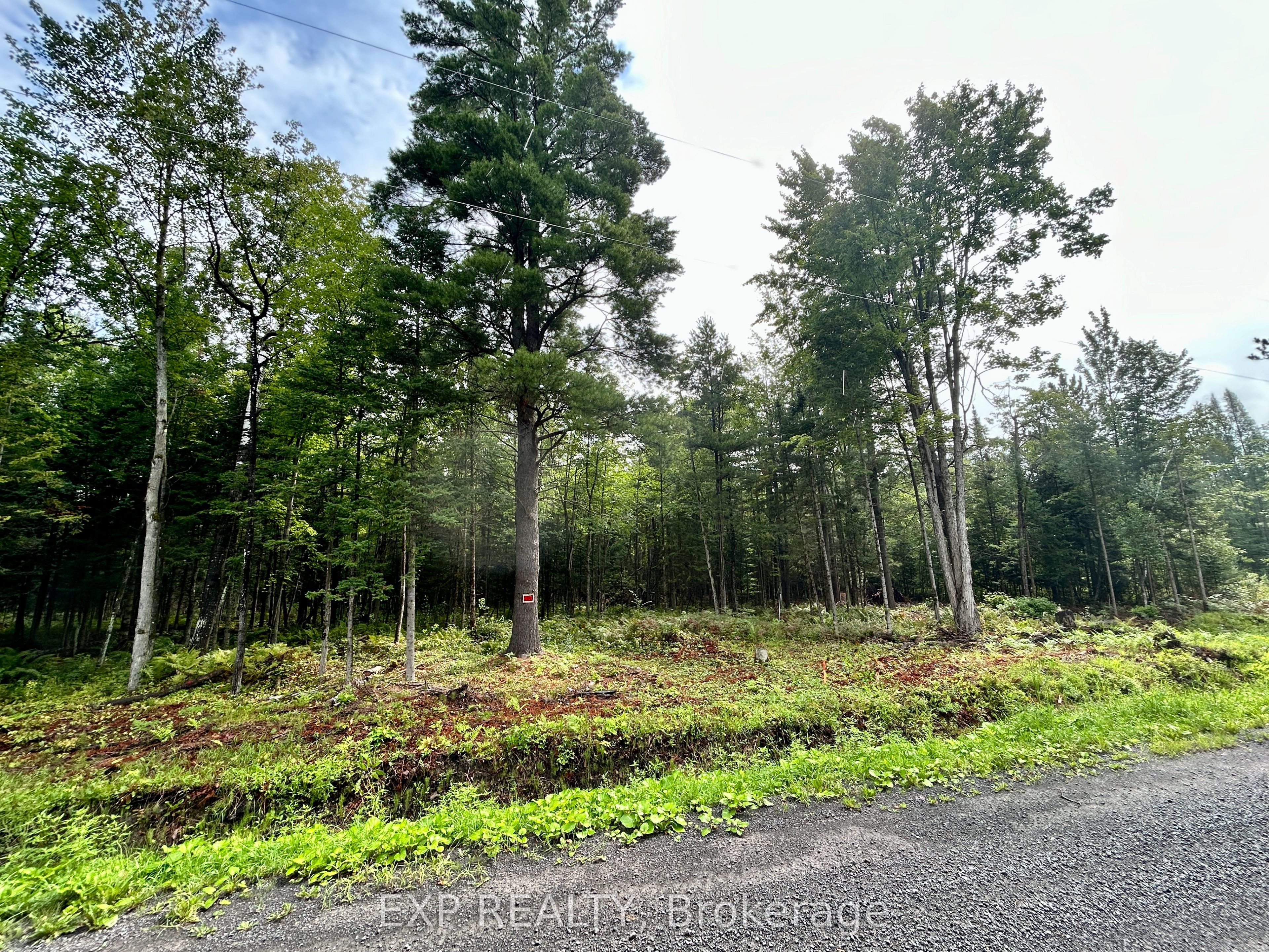 0 14 Route Property Photo 13