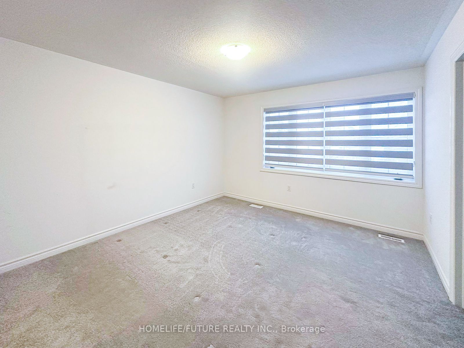 407 Russell Street Property Photo 29