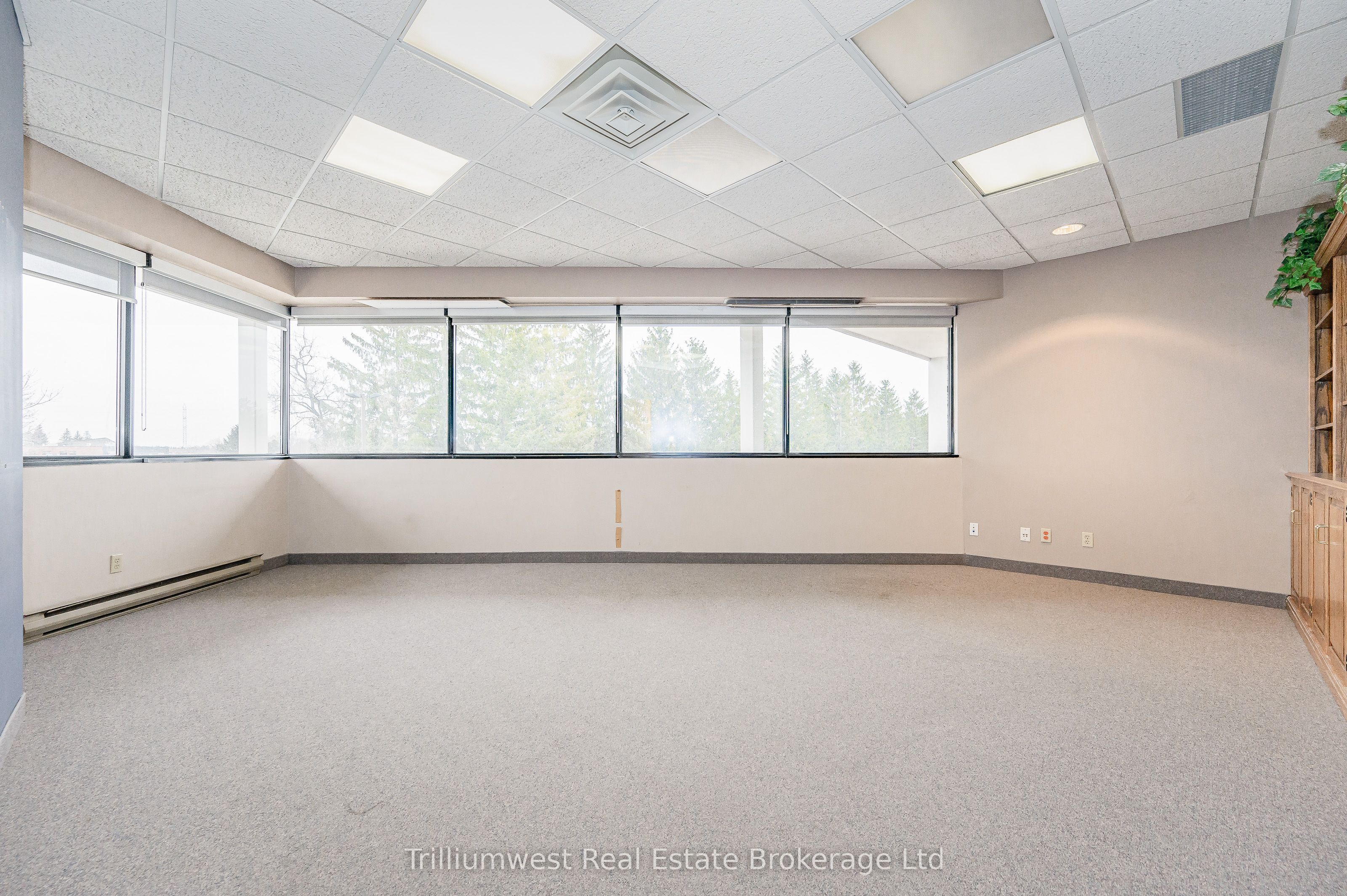 #203 - 450 Speedvale Ave W Avenue Property Photo 4