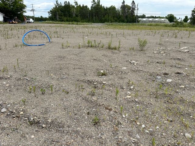 262 County 44 Road Property Photo 6