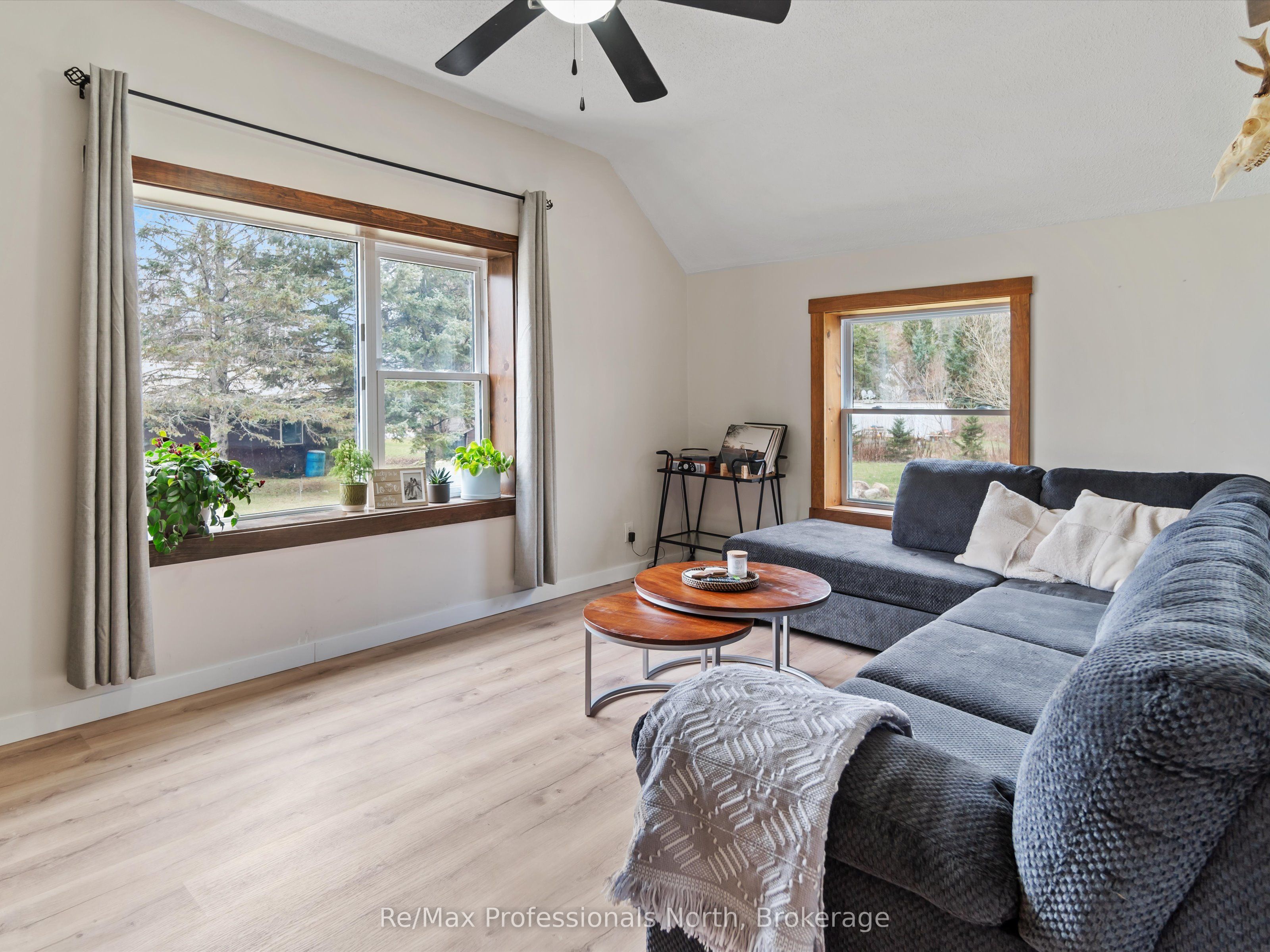 13 Ellen Street Property Photo