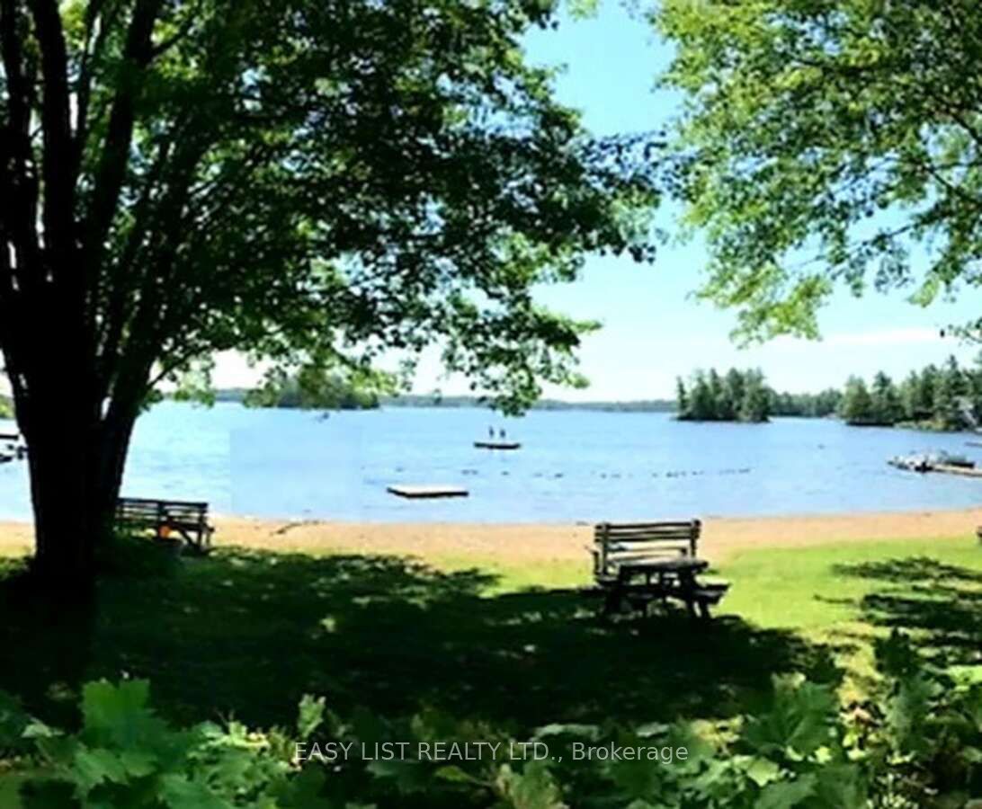 Lot 137 Beech Road Allowance Property Photo 5