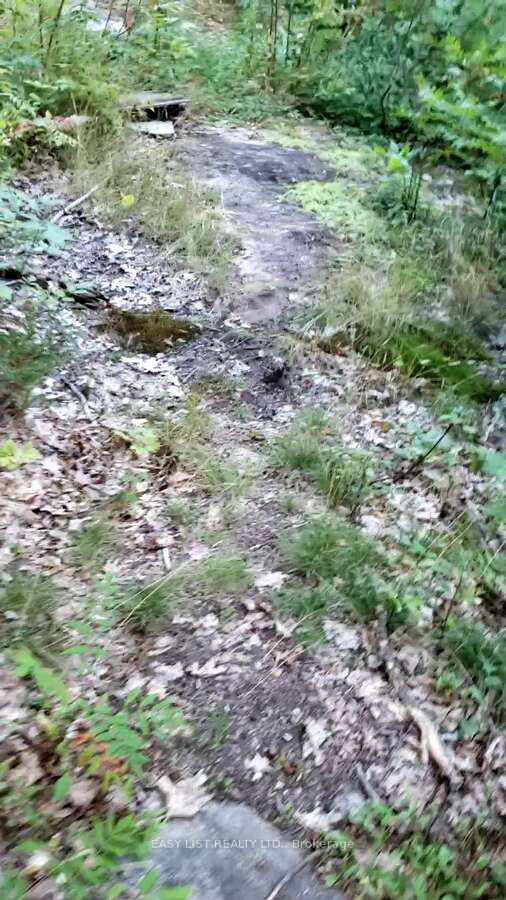 Lot 137 Beech Road Allowance Property Photo 9