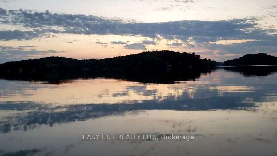 Lot 137 Beech Road Allowance Property Photo 12