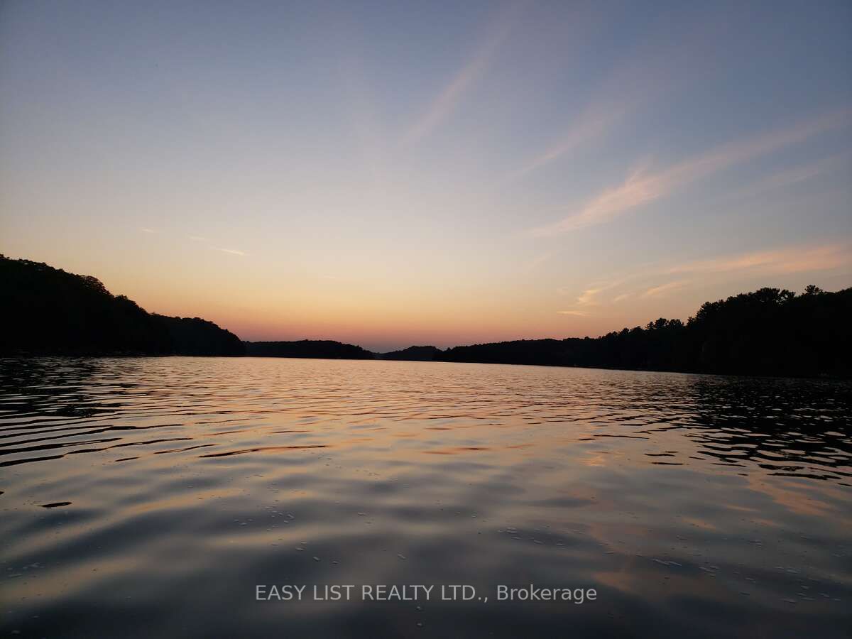 Lot 137 Beech Road Allowance Property Photo 14