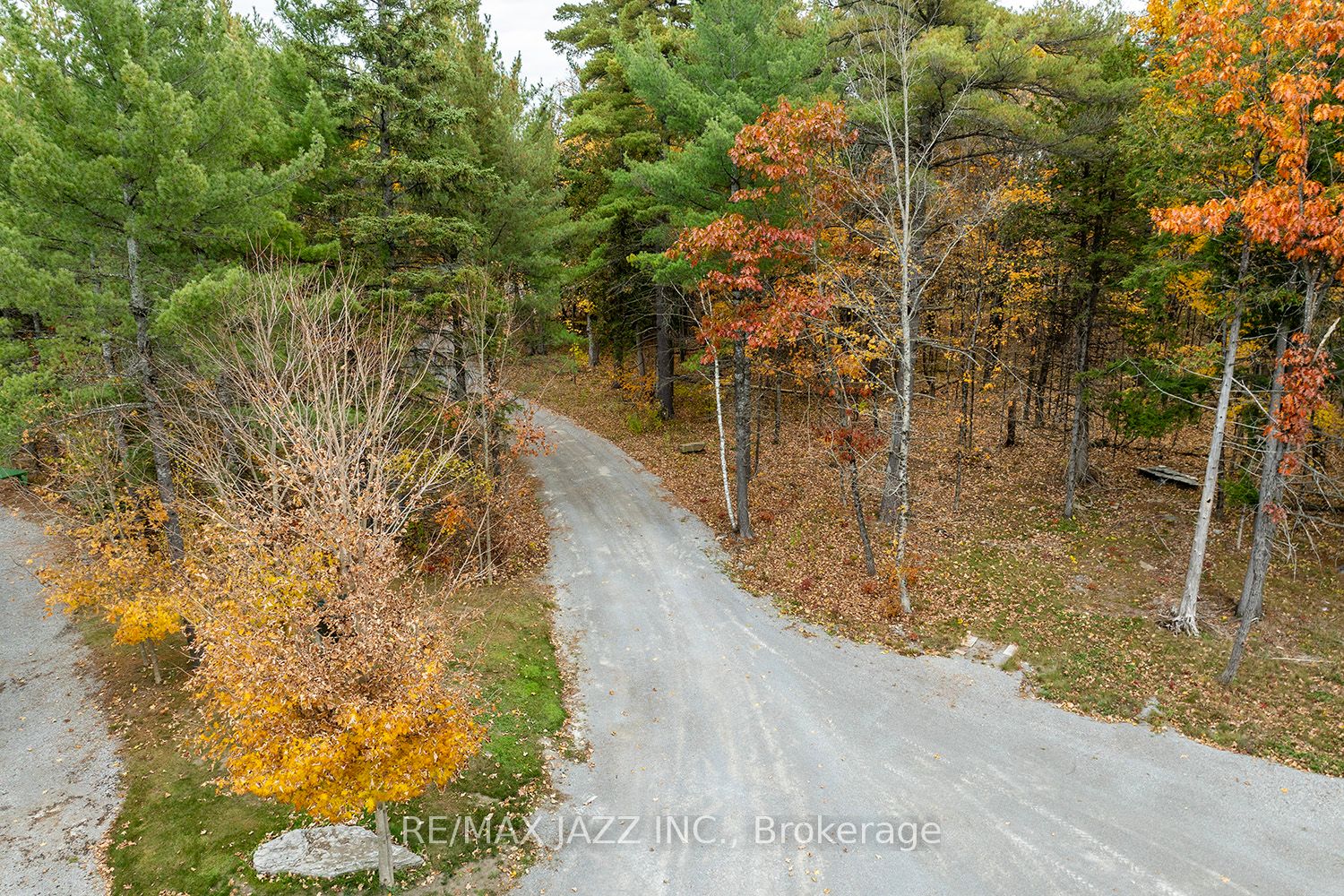 19 Ledge Road Property Photo 36