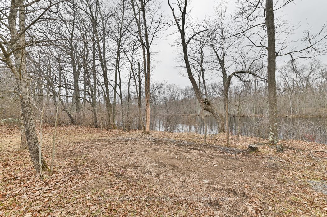 60 Birch Lane Property Photo 6