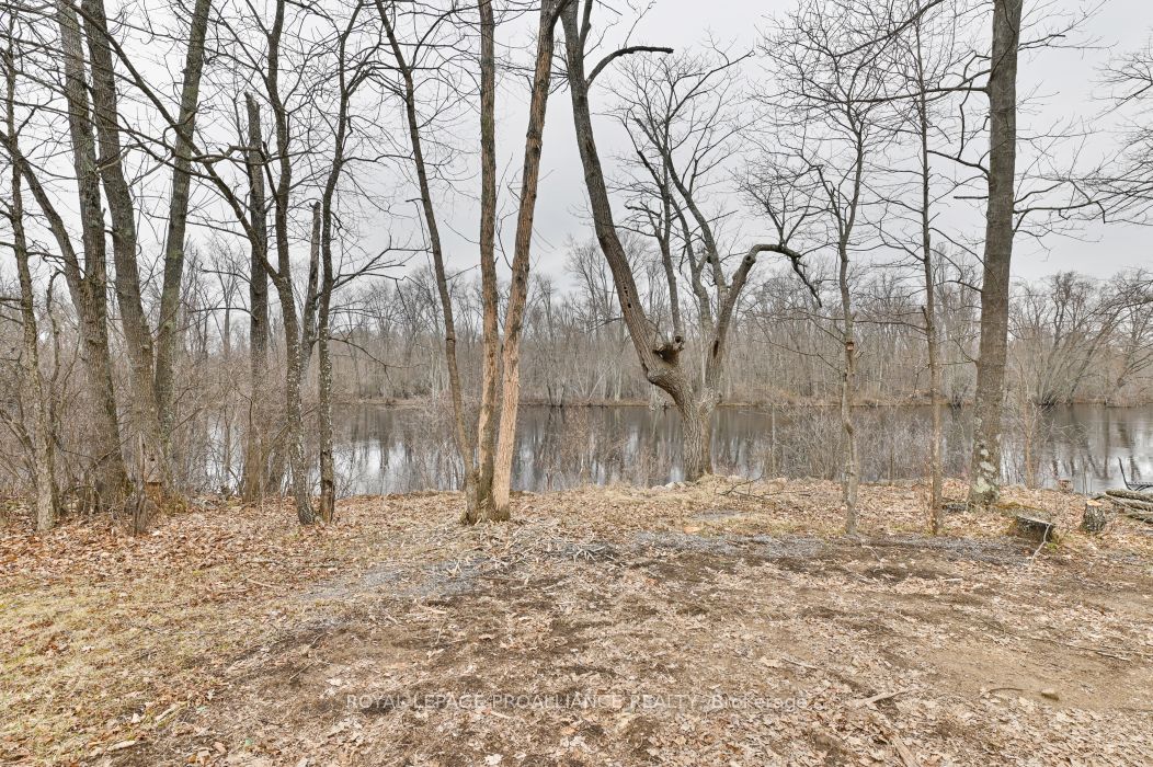60 Birch Lane Property Photo 7