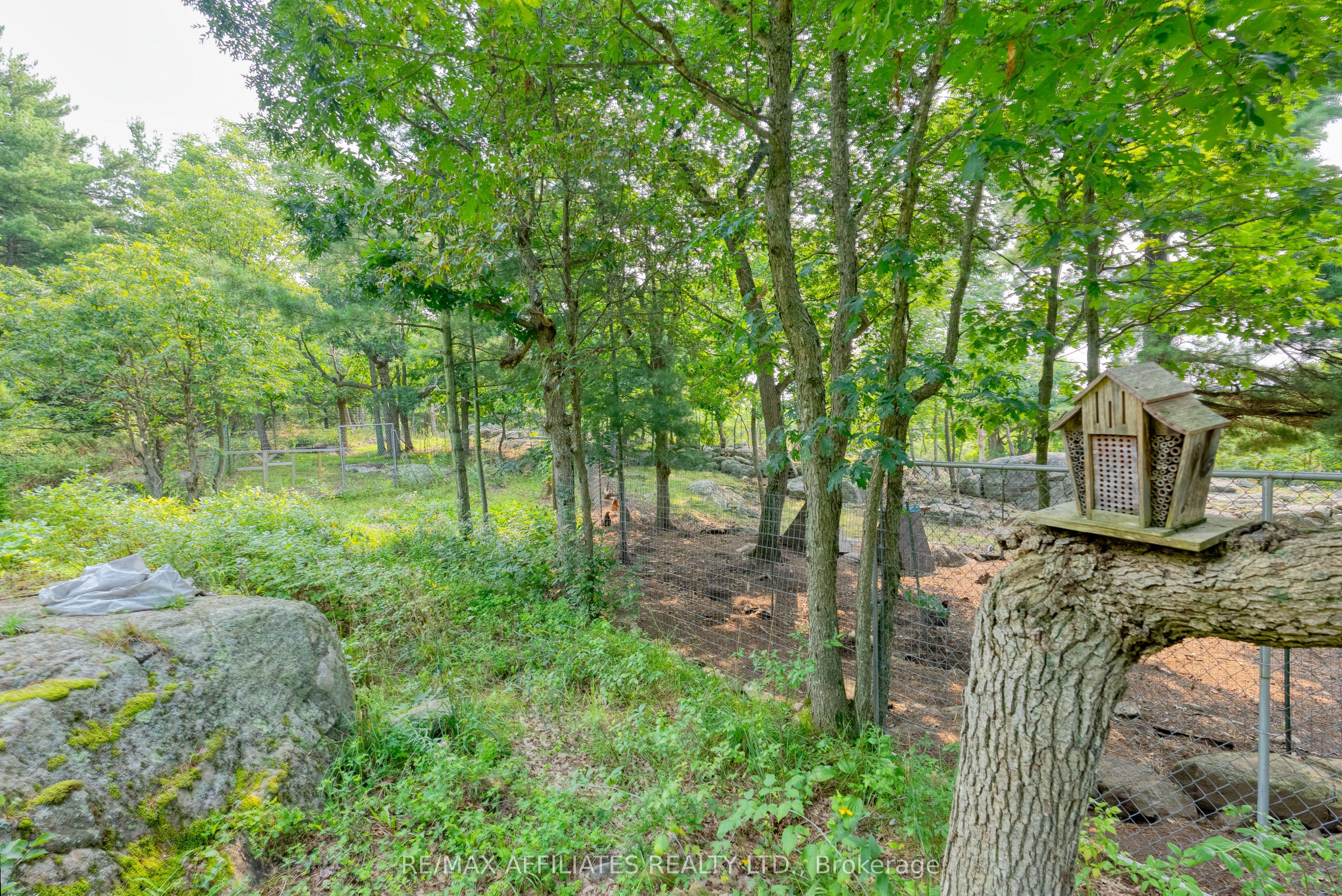 19 West Devil Lk Lane Property Photo 23