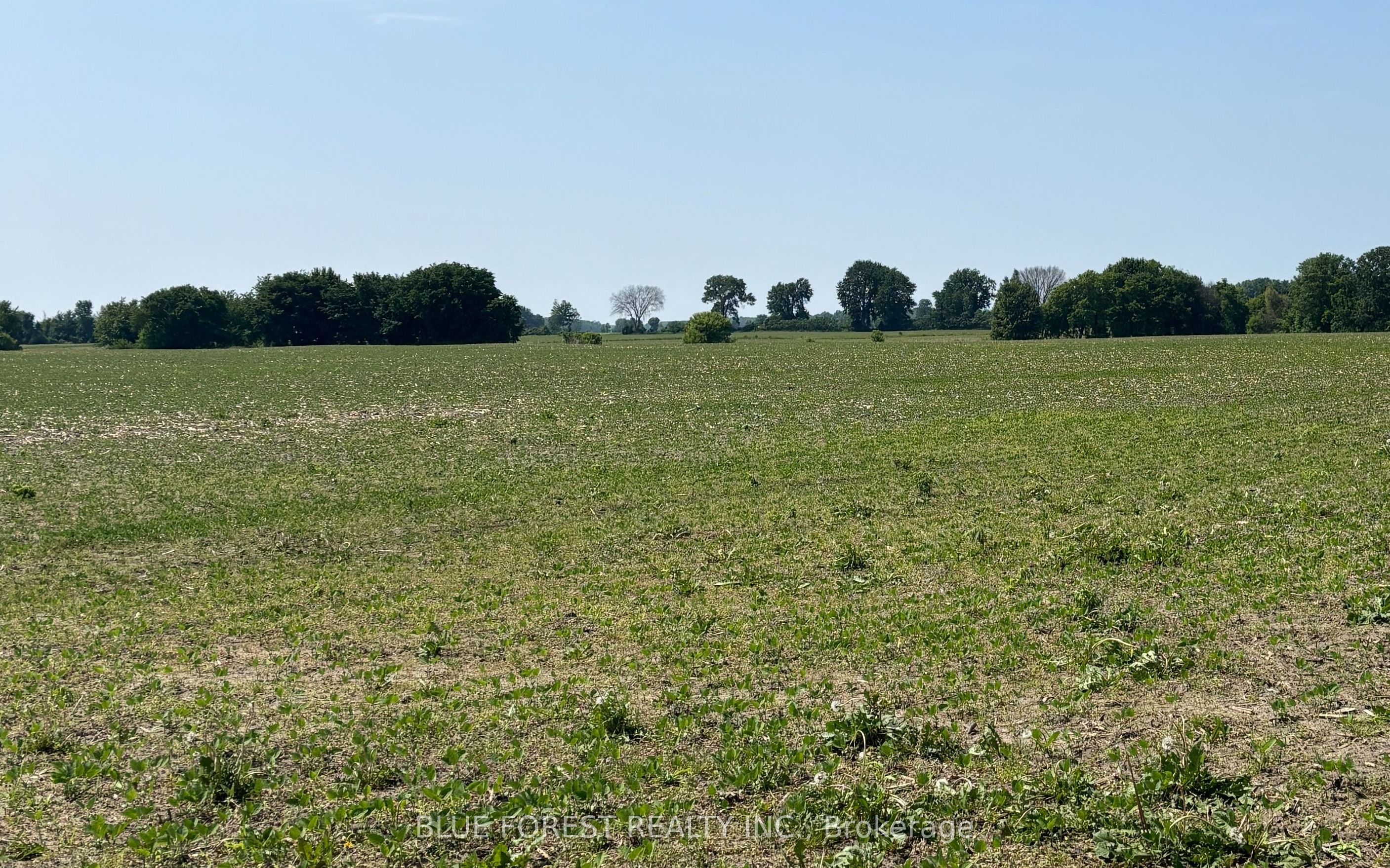 0 Downie Road Property Photo 1