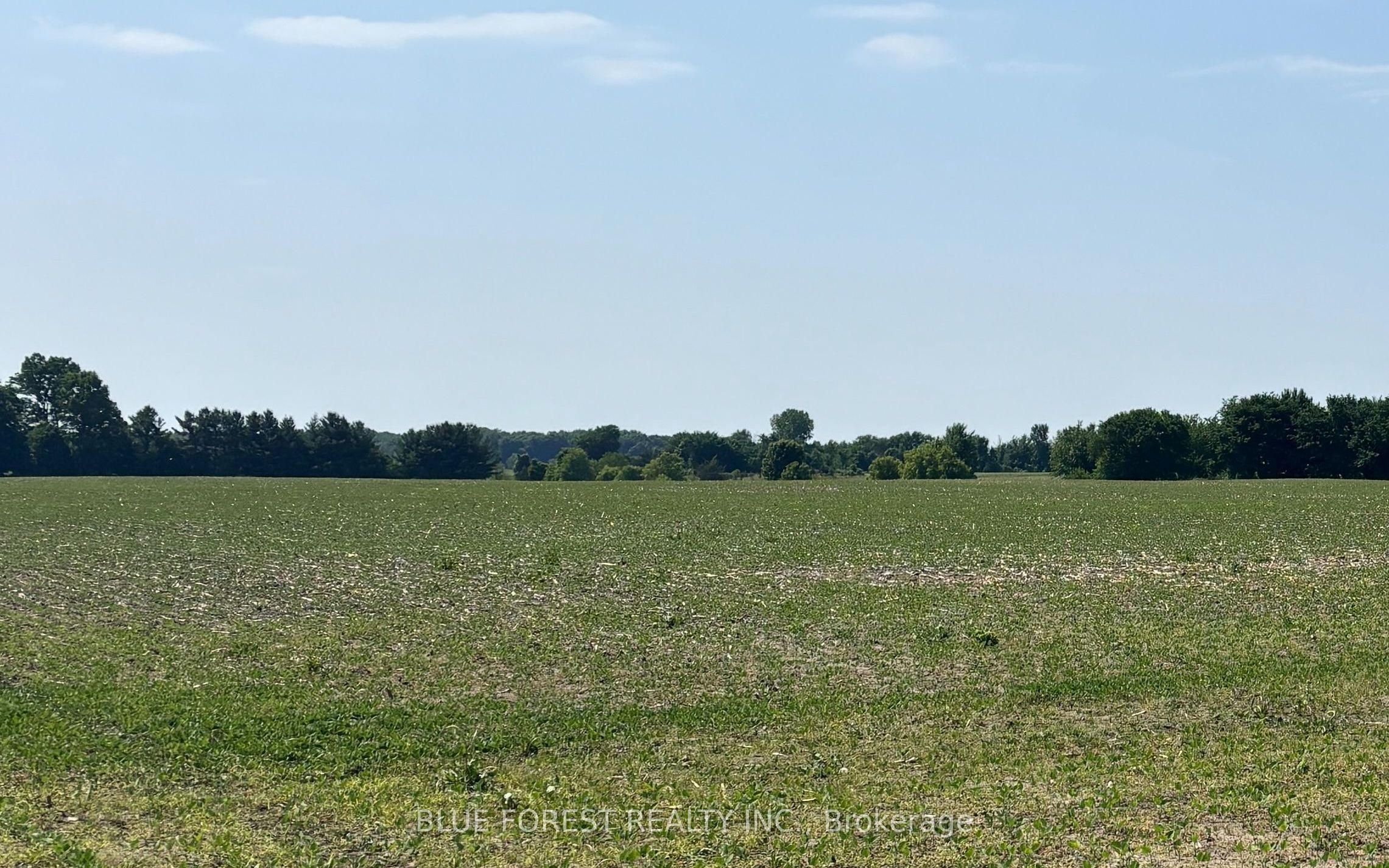 0 Downie Road Property Photo 1