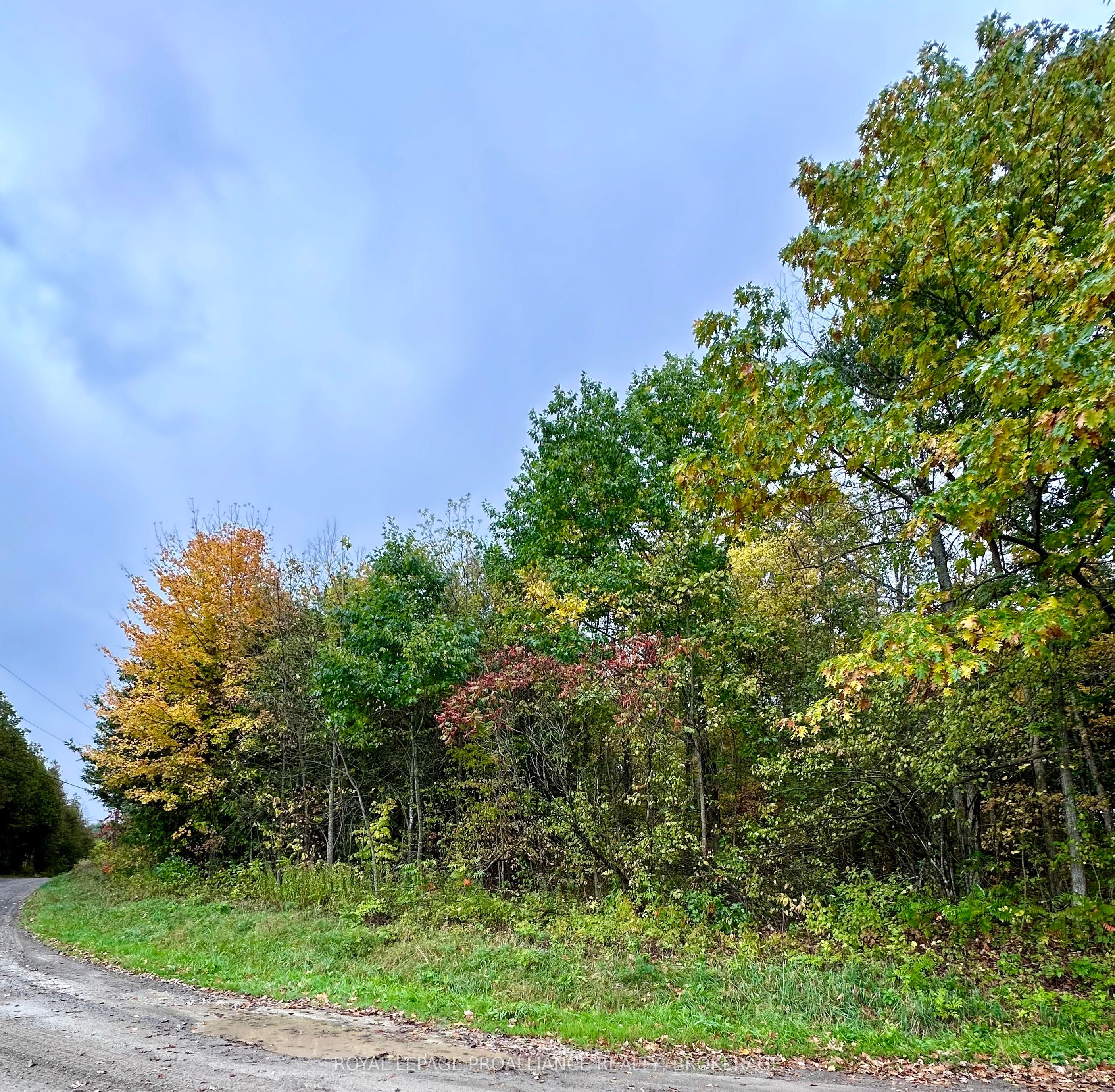 Lot 1 Murphy Road Property Photo 1