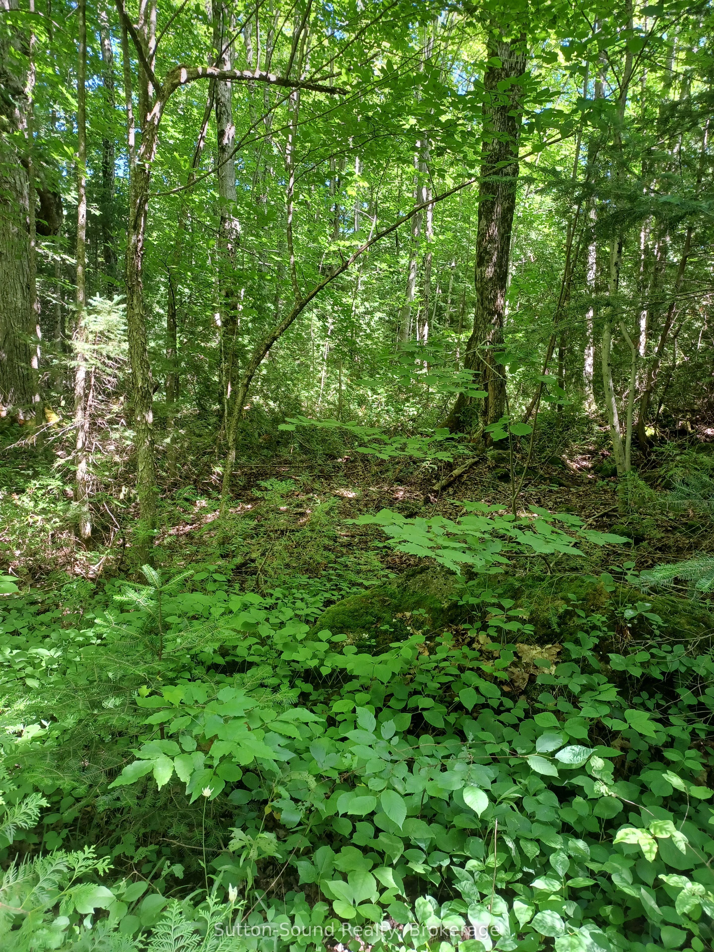 382309 Concession 17 N/a Property Photo 4
