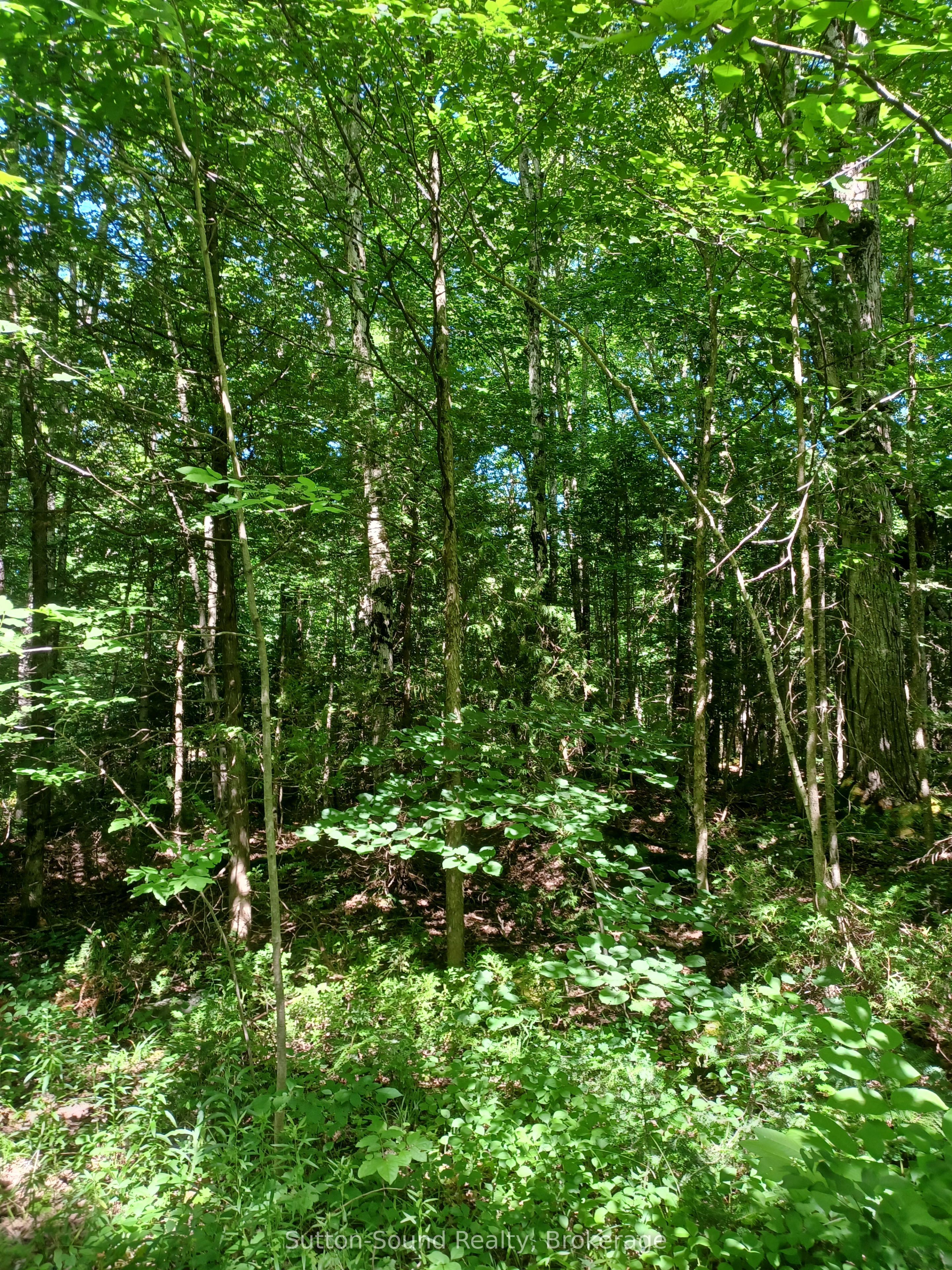 382309 Concession 17 N/a Property Photo 5